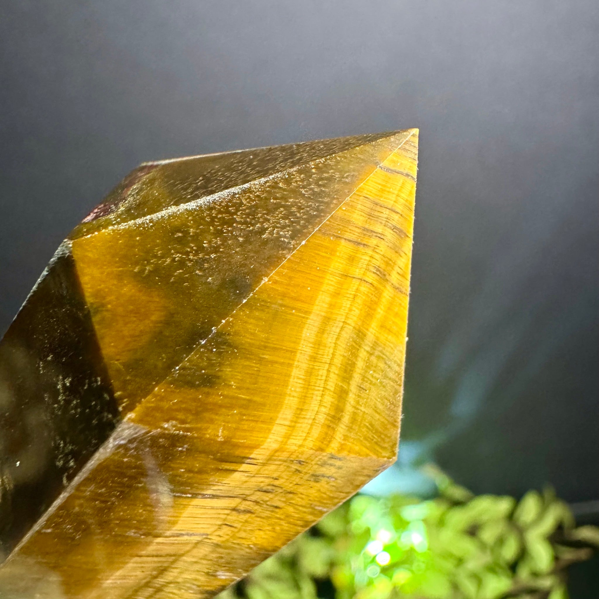 Tigers Eye Tower
