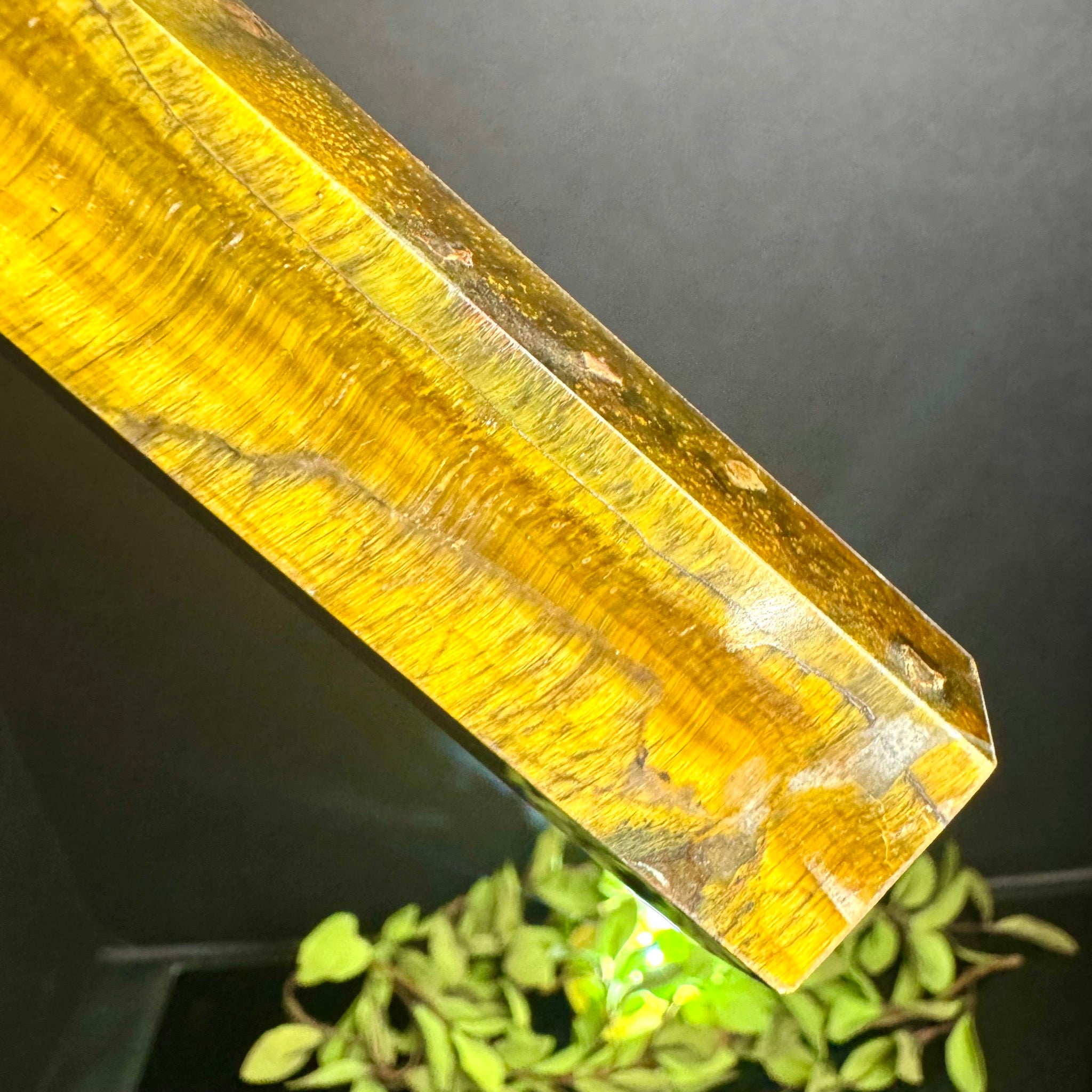 Tigers Eye Tower