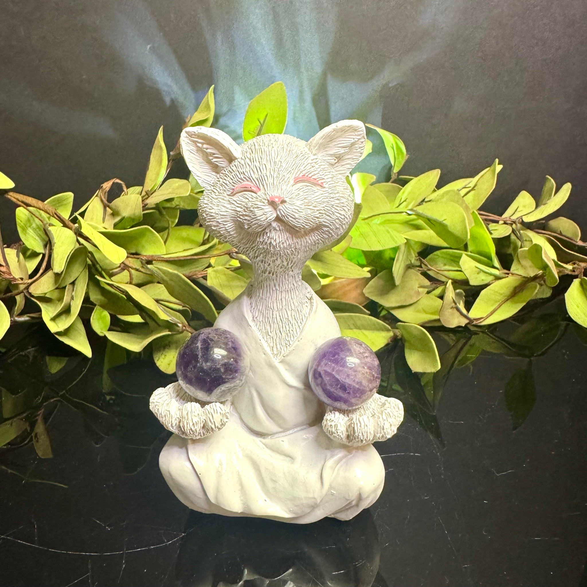 White Meditating Cat