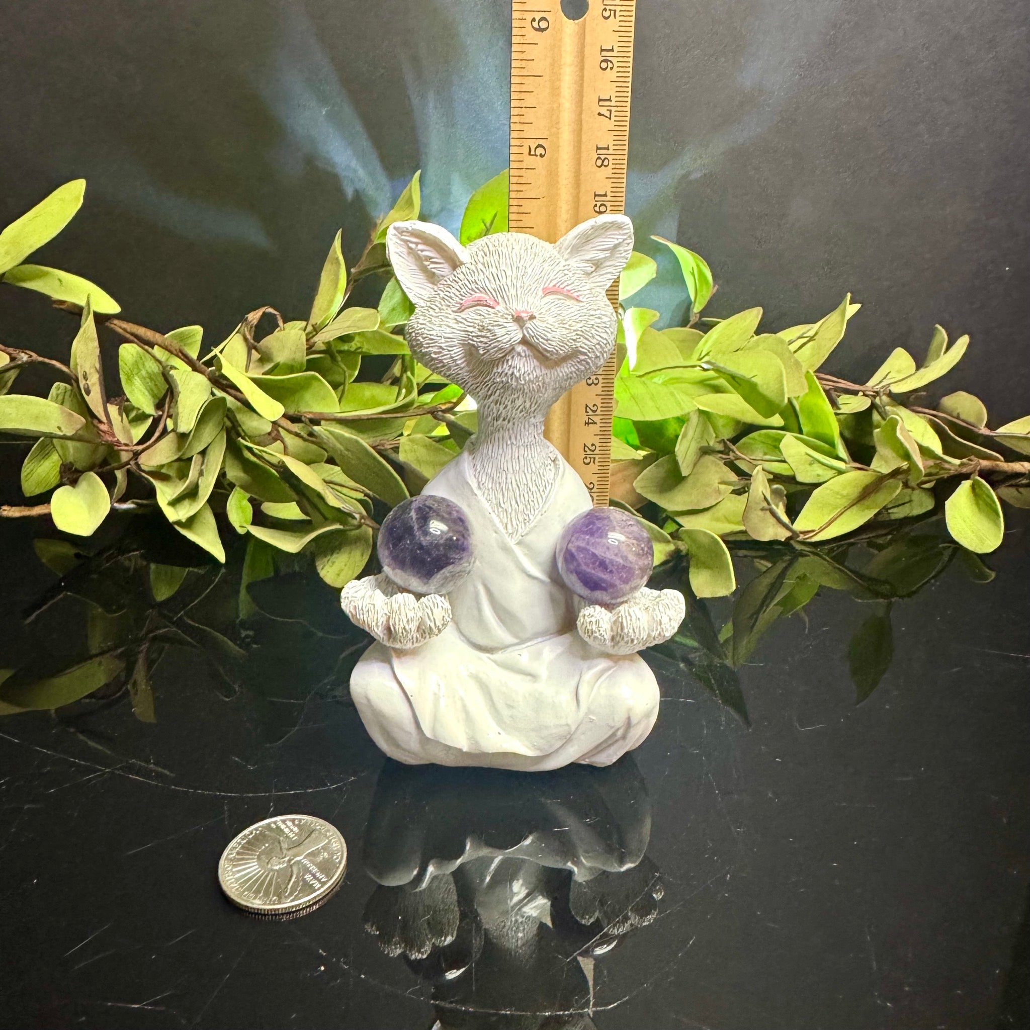 White Meditating Cat