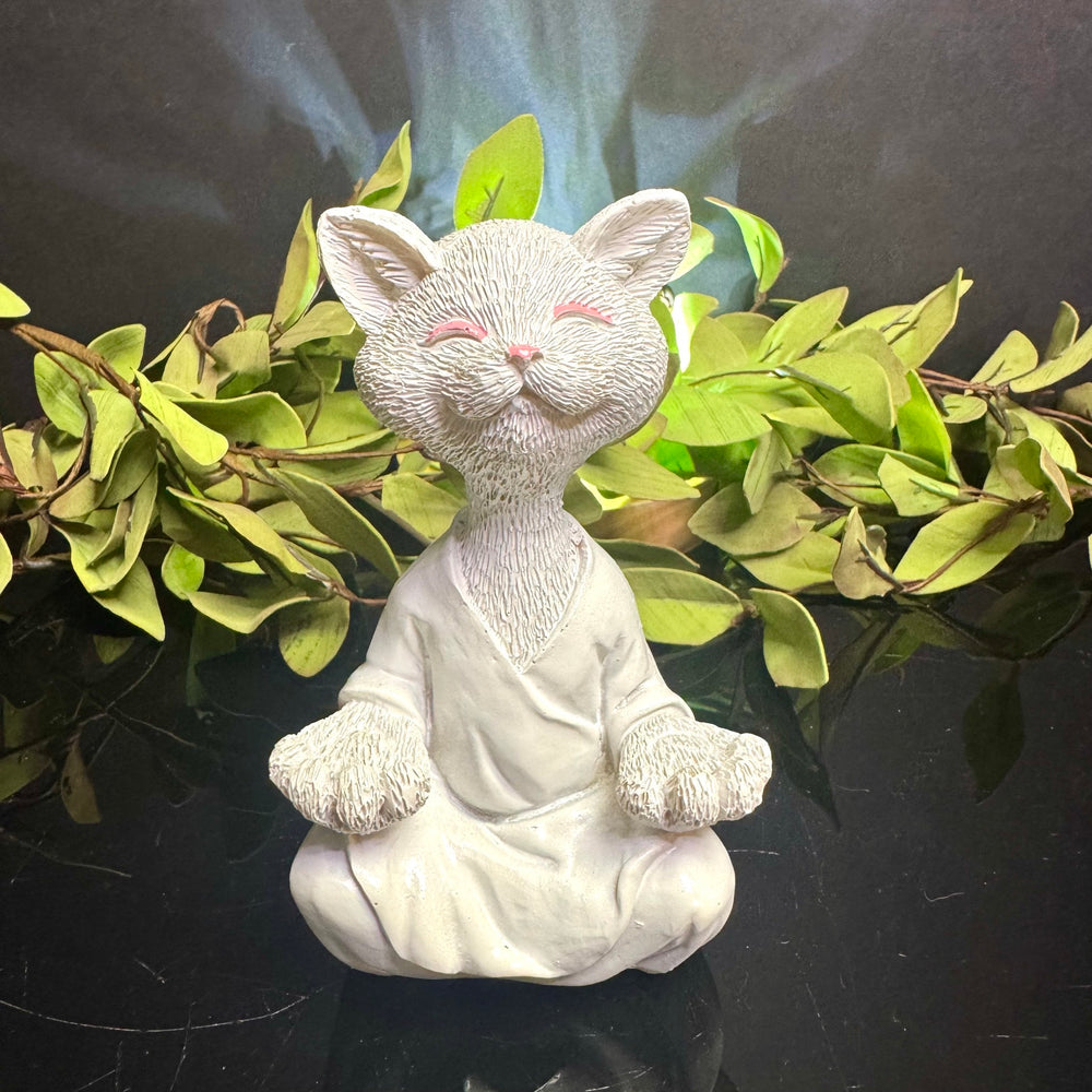 White Meditating Cat