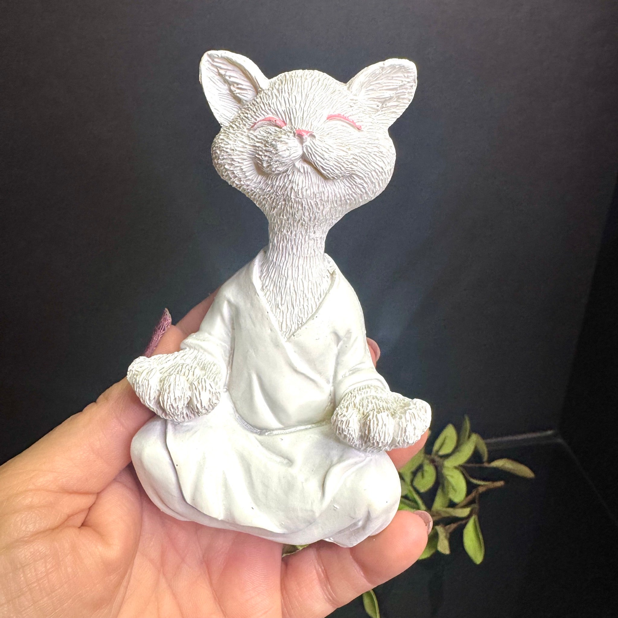 White Meditating Cat