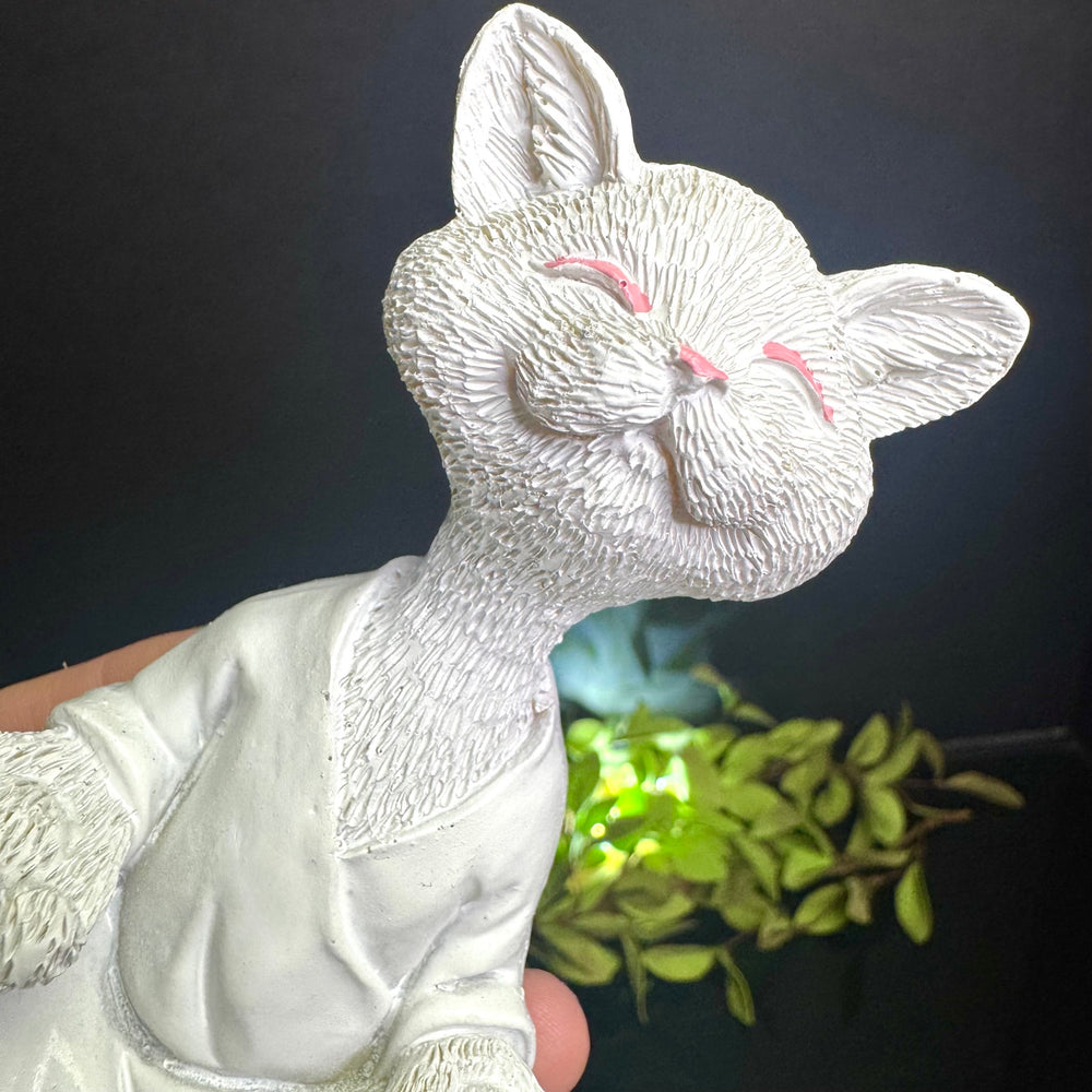 White Meditating Cat
