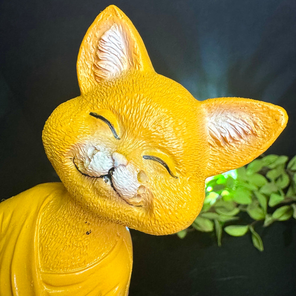 Orange Meditating Cat