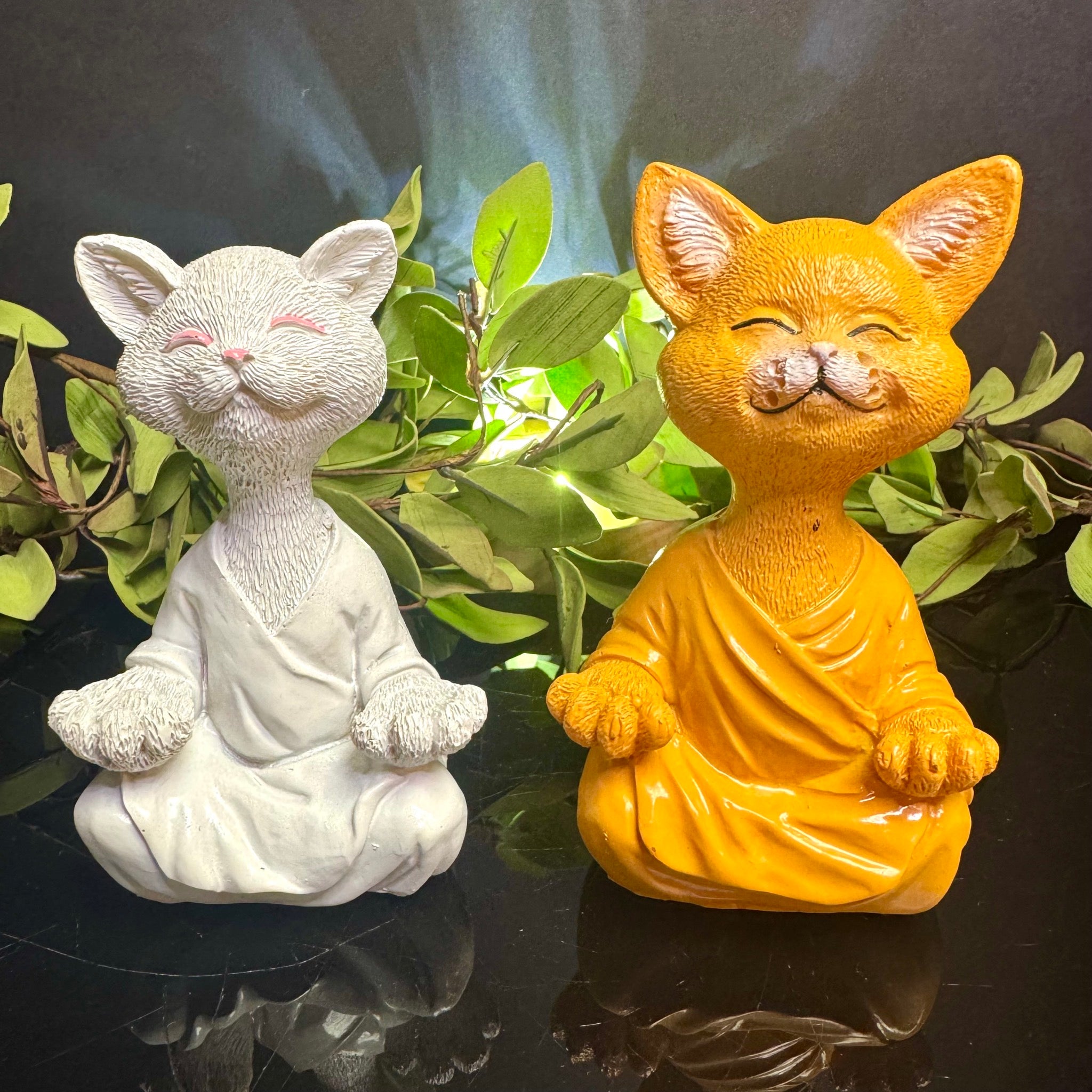White Meditating Cat