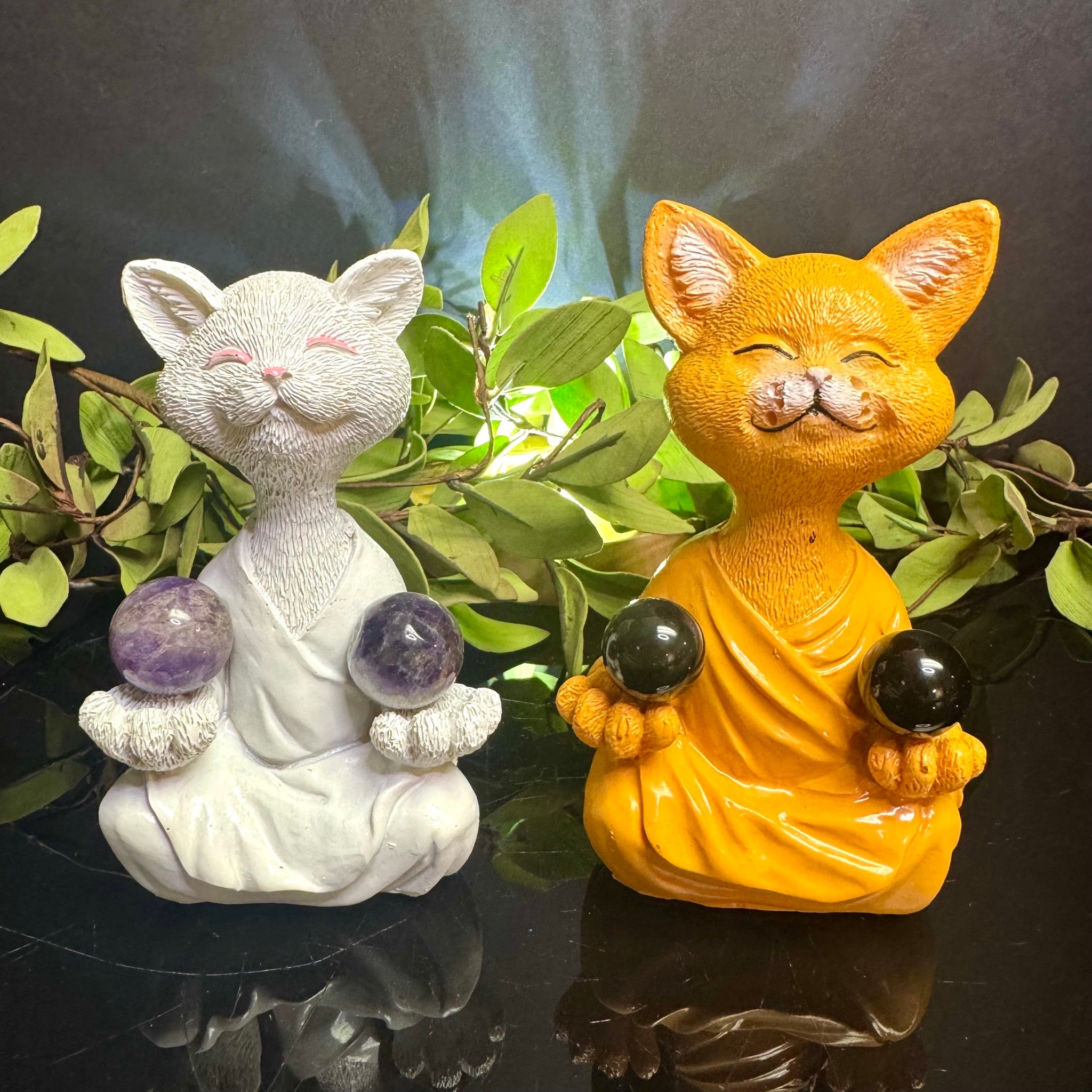 White Meditating Cat