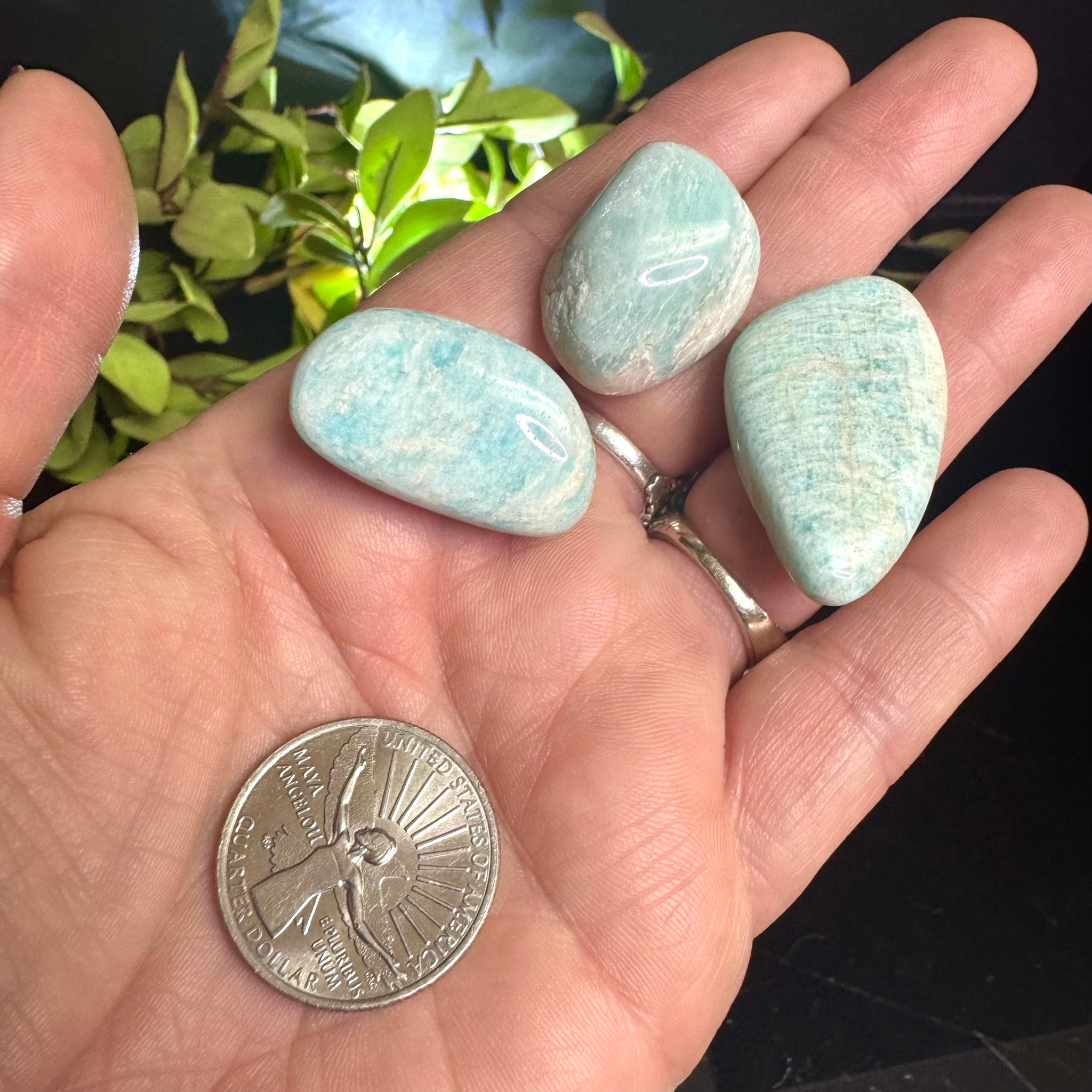 Amazonite Tumble