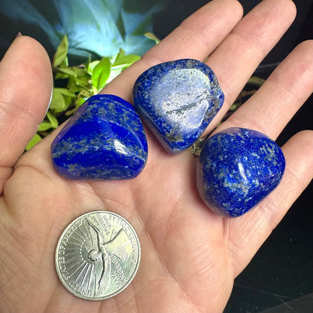 Lapis Lazuli Tumble