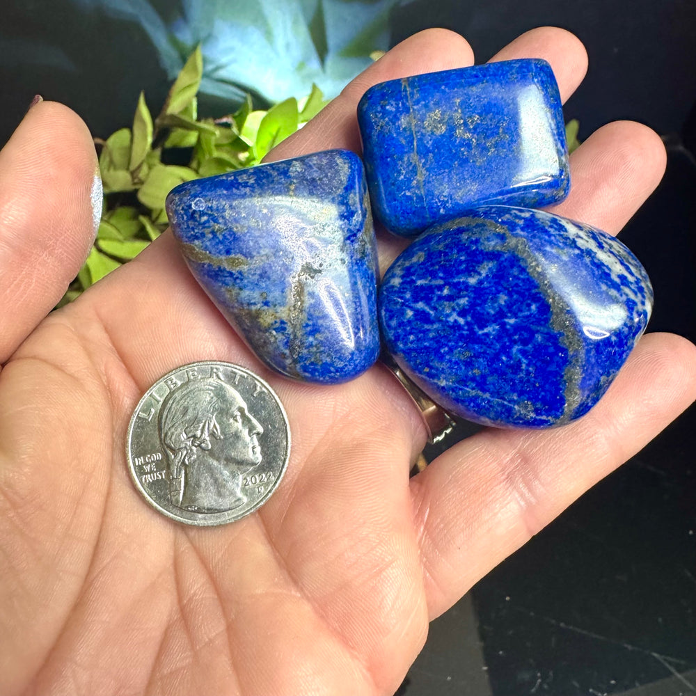 Lapis Lazuli Tumble