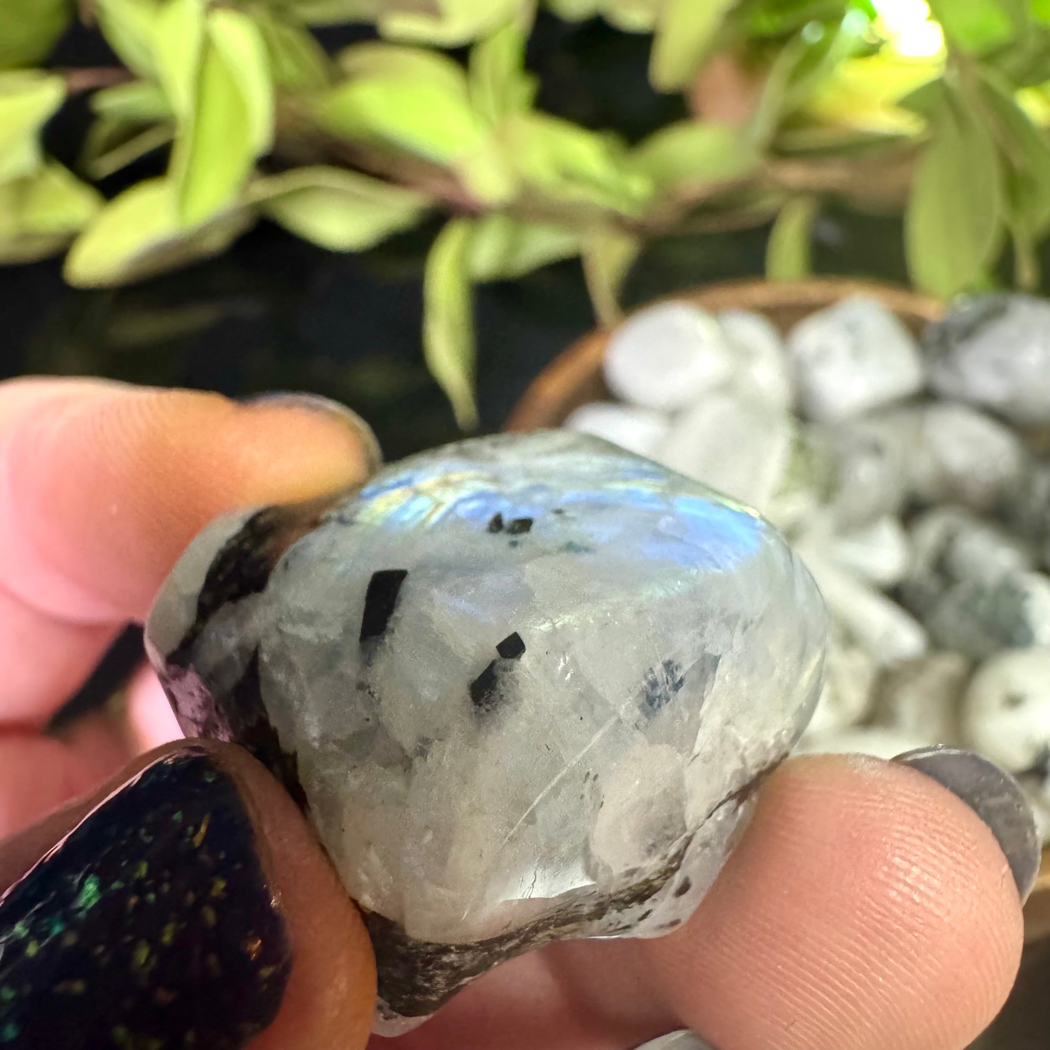 Rainbow Moonstone Tumble