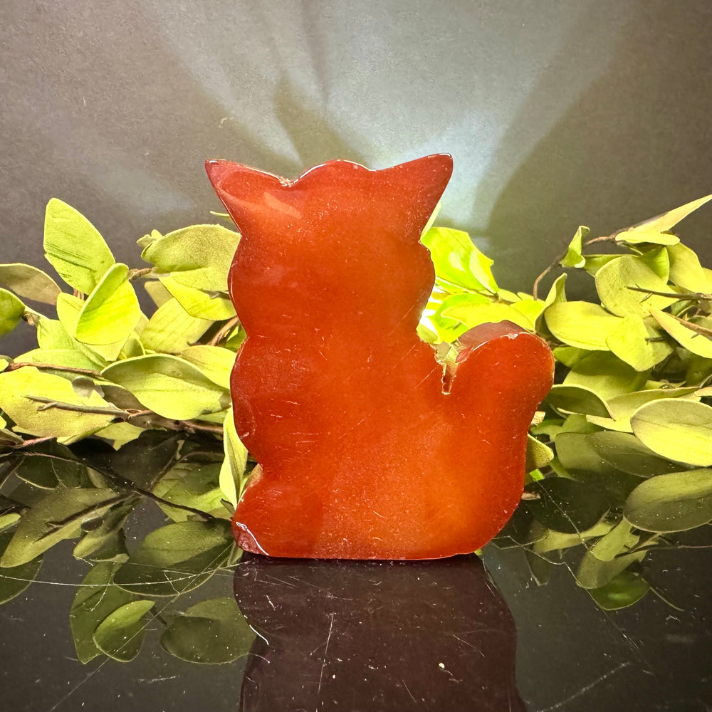 Carnelian Fox