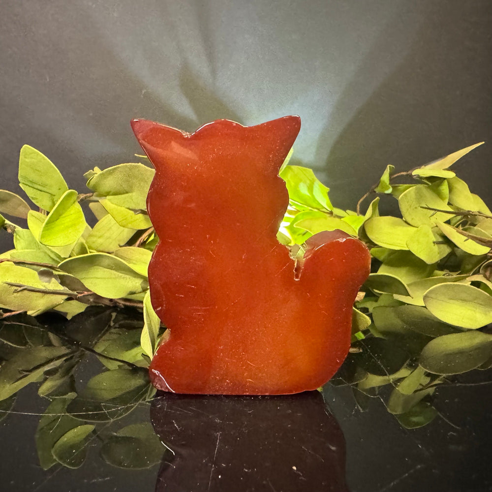 Carnelian Fox