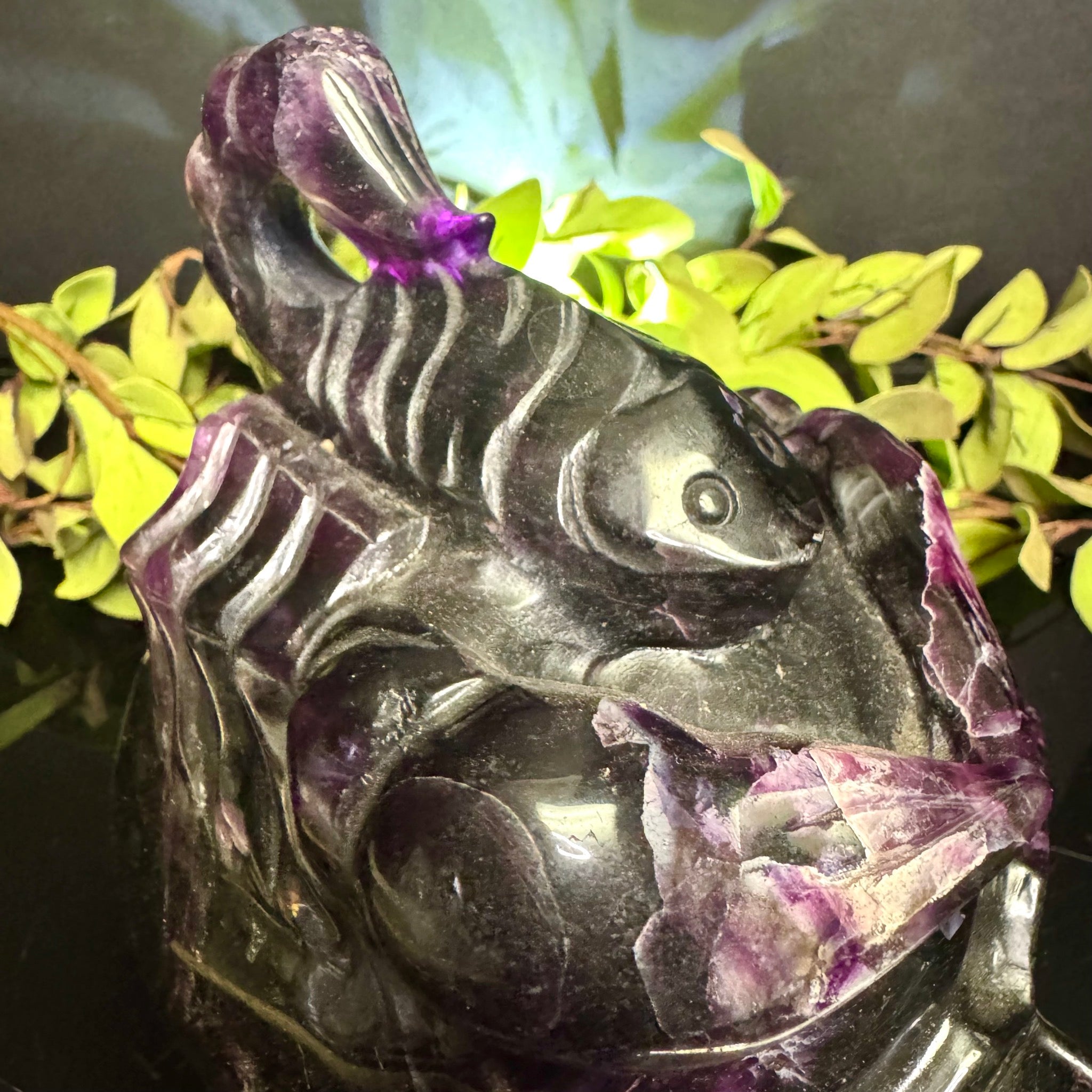 Fluorite Skull with Scorpion