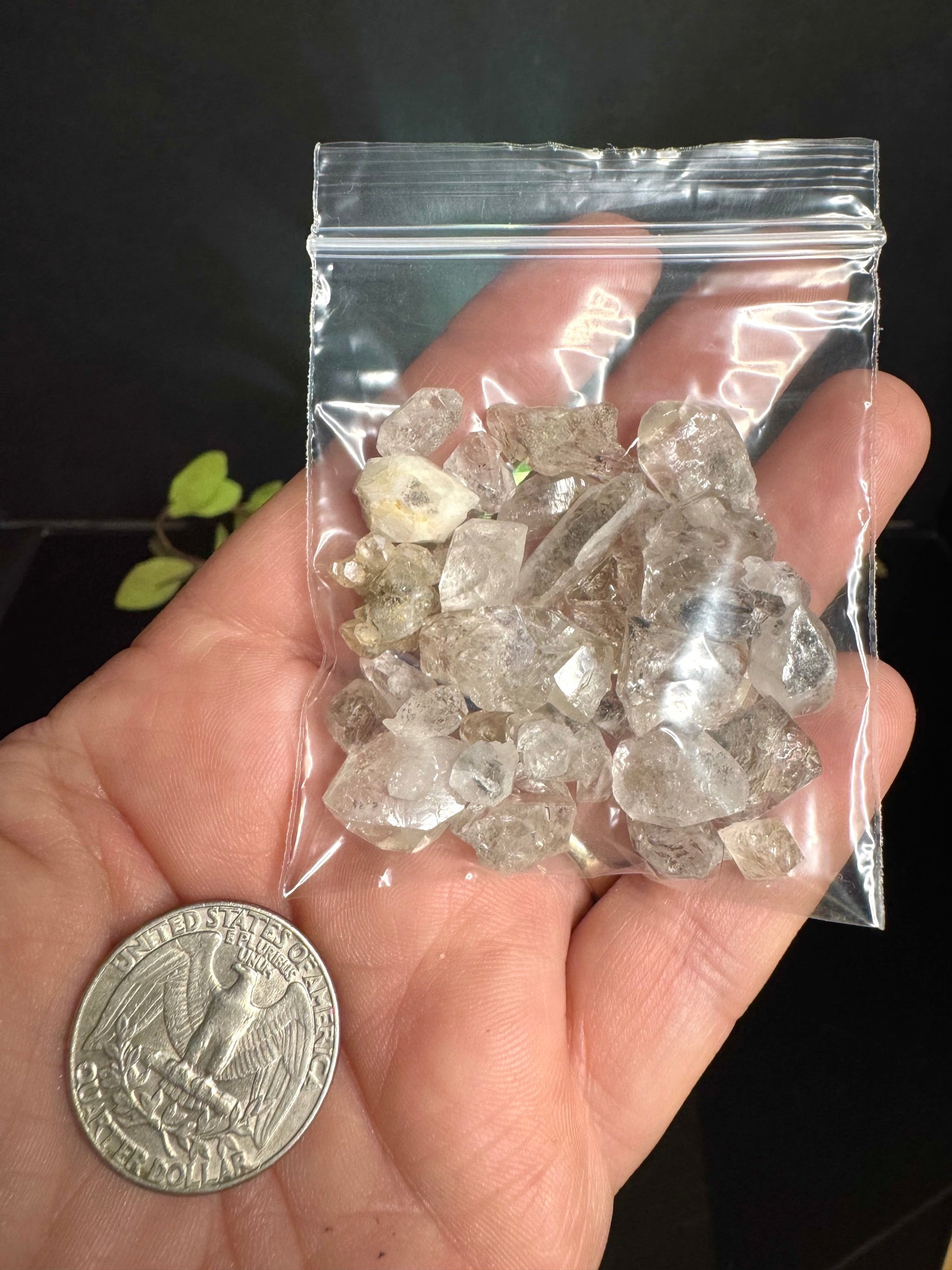 Petroleum Quartz