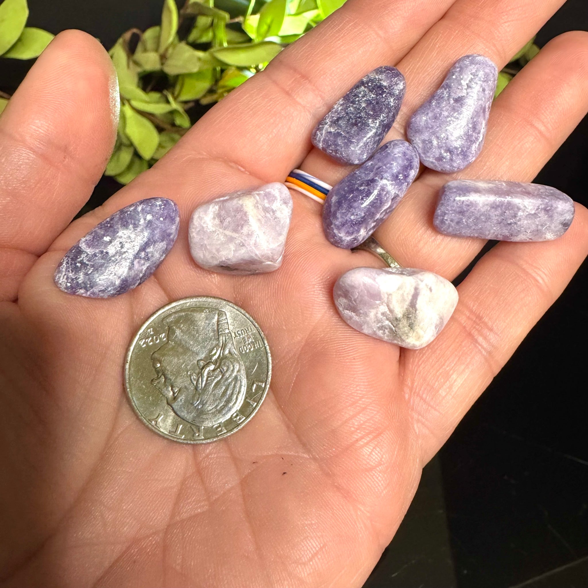 Lepidolite Tumble