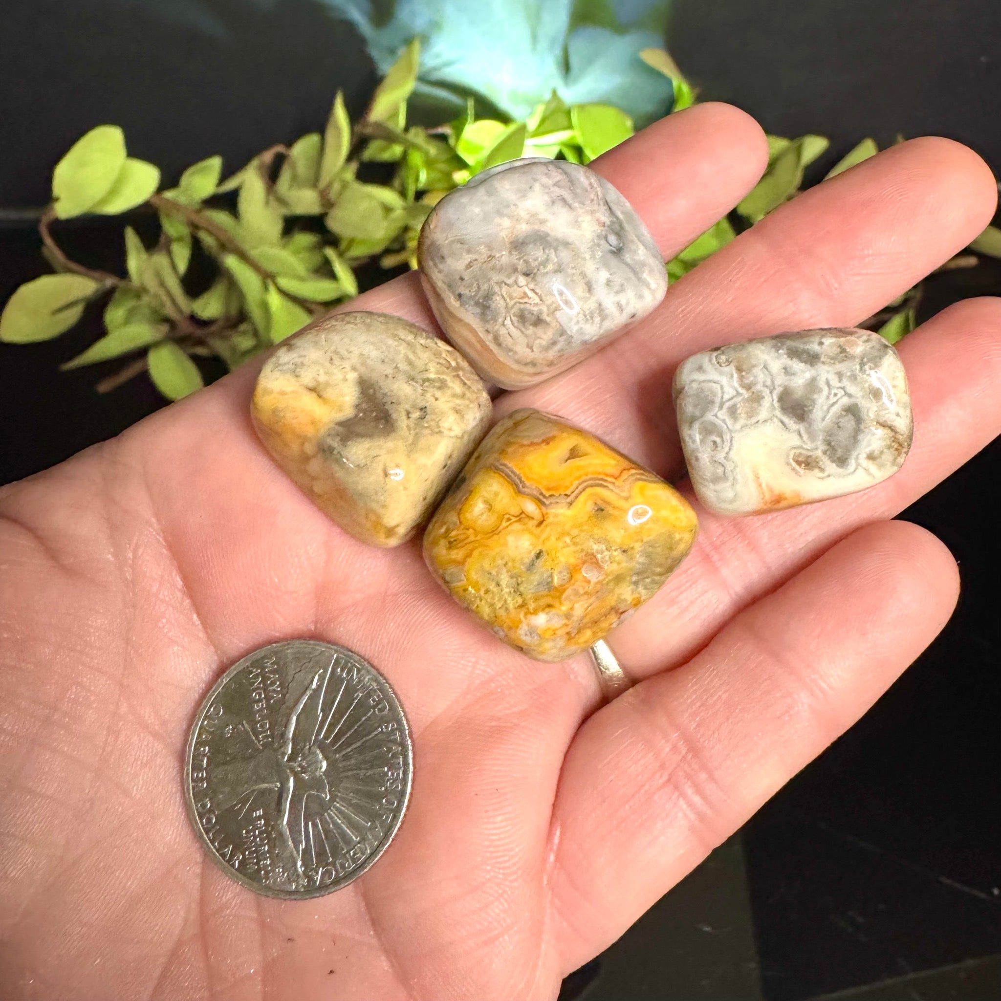 Crazy Lace Agate Tumble