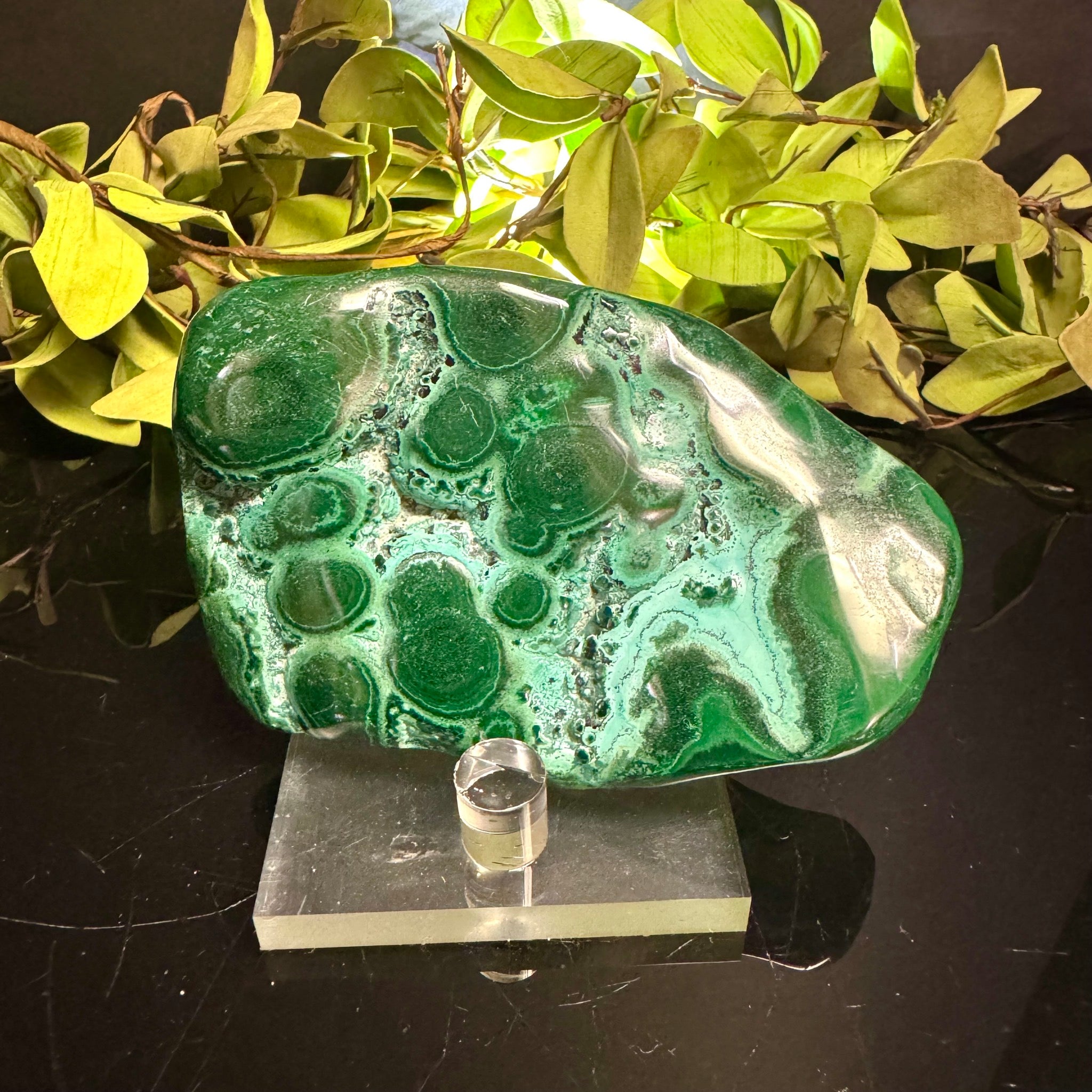 Chrysocolla & Malachite with stand