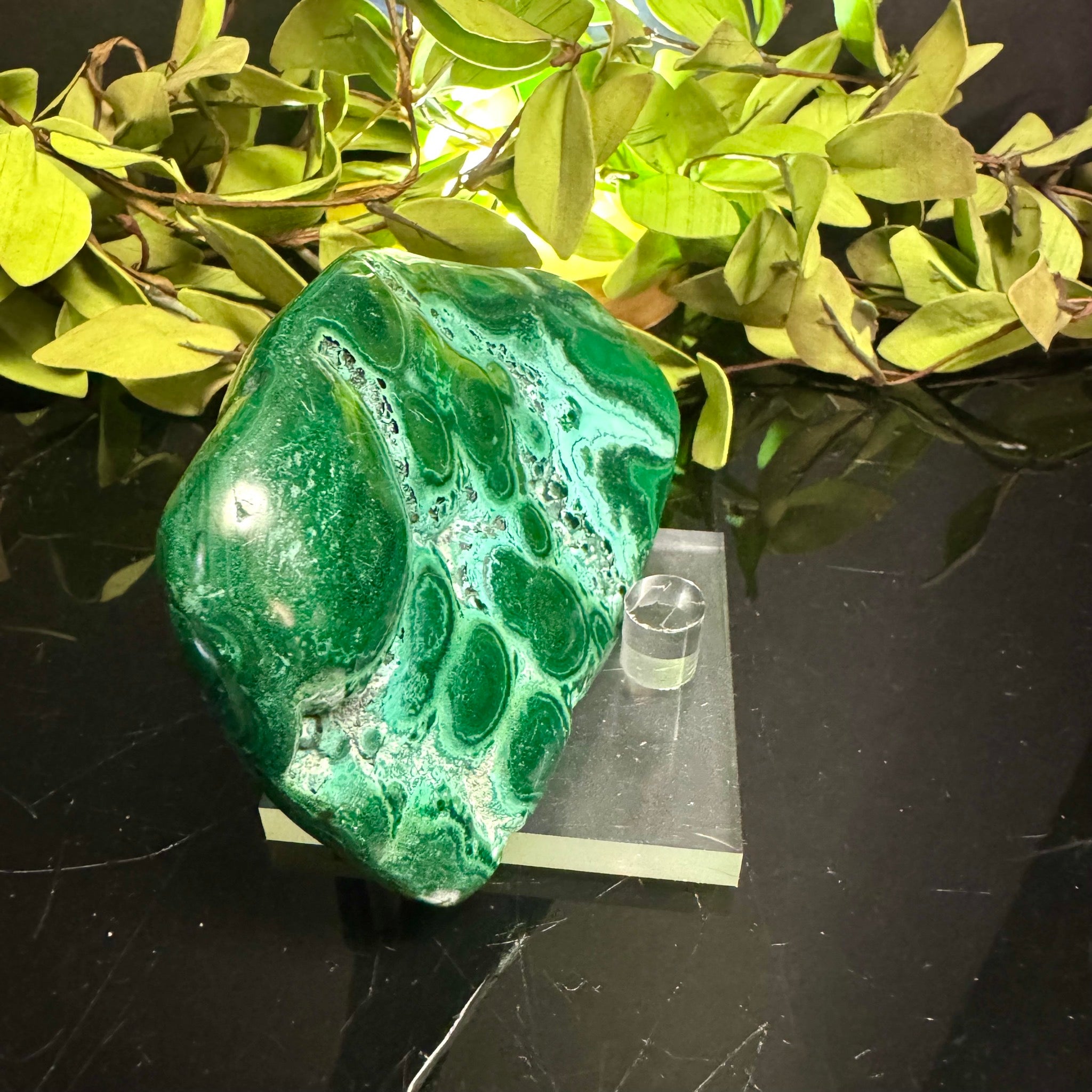 Chrysocolla & Malachite with stand