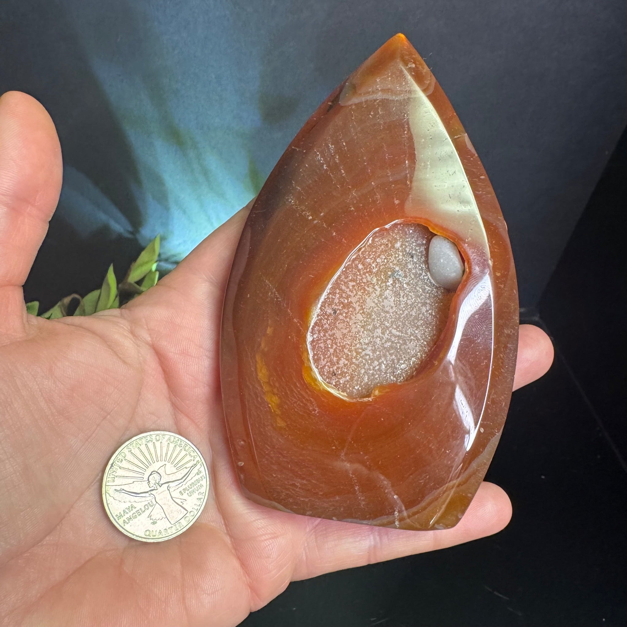 Carnelian Teardrop Free Form