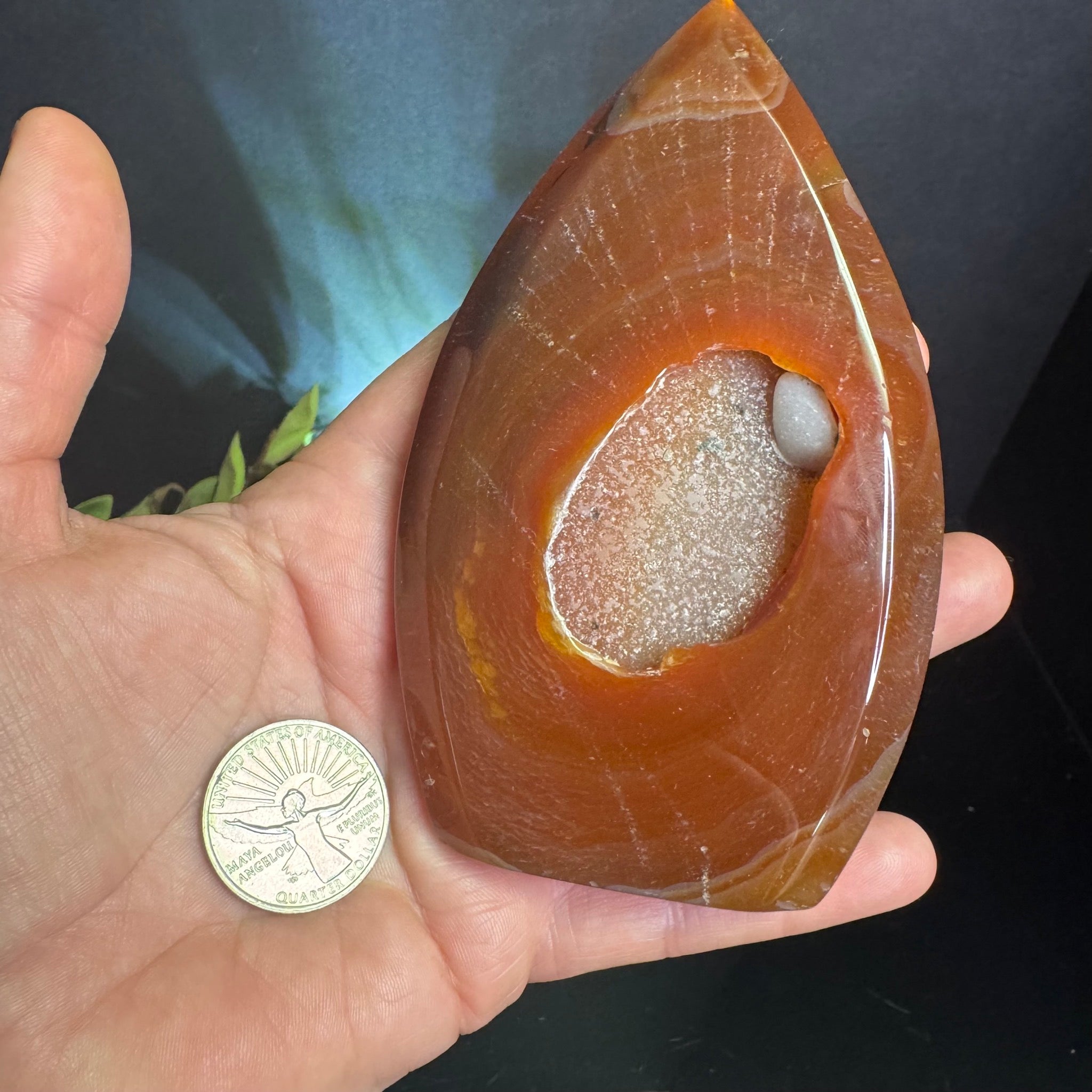 Carnelian Teardrop Free Form
