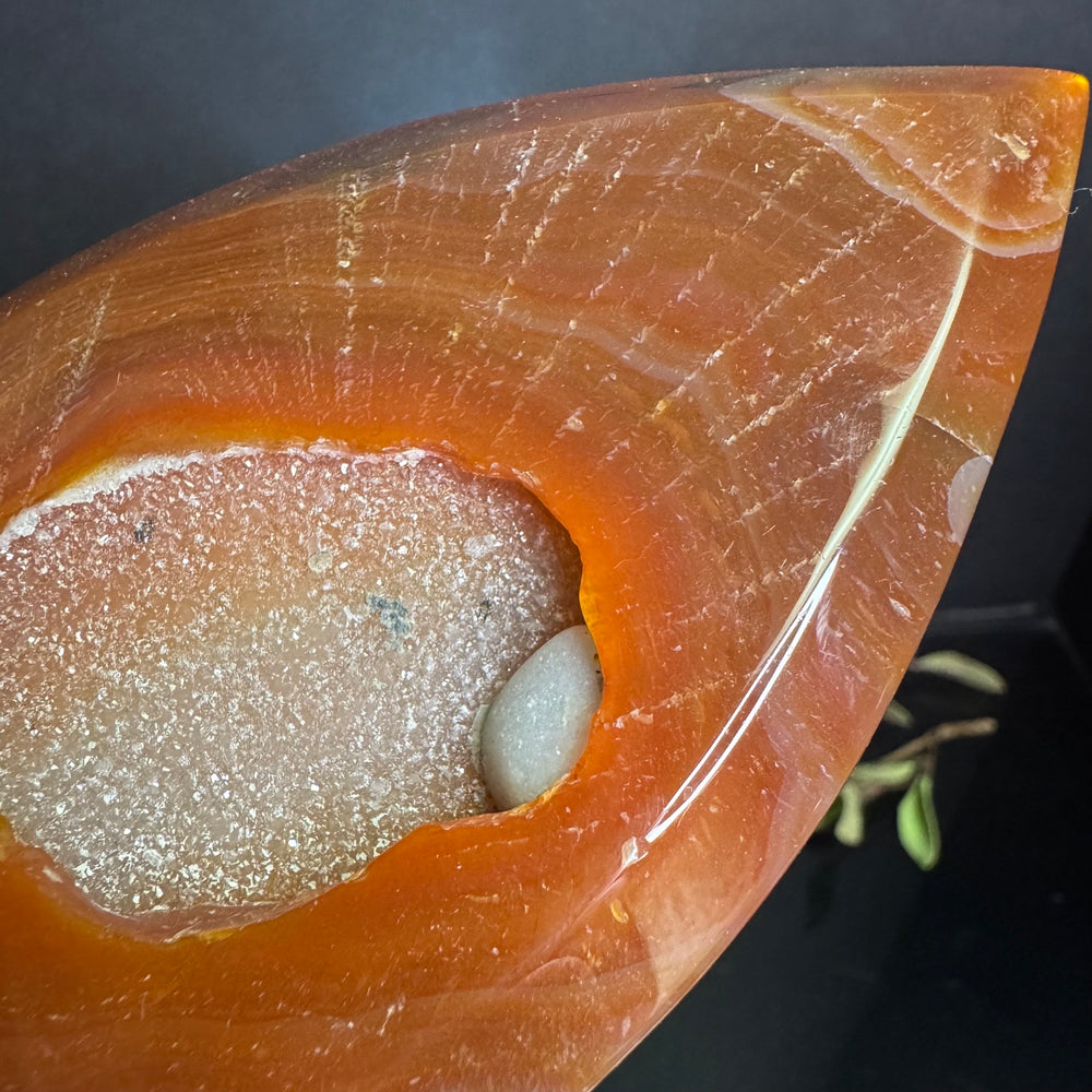 Carnelian Teardrop Free Form