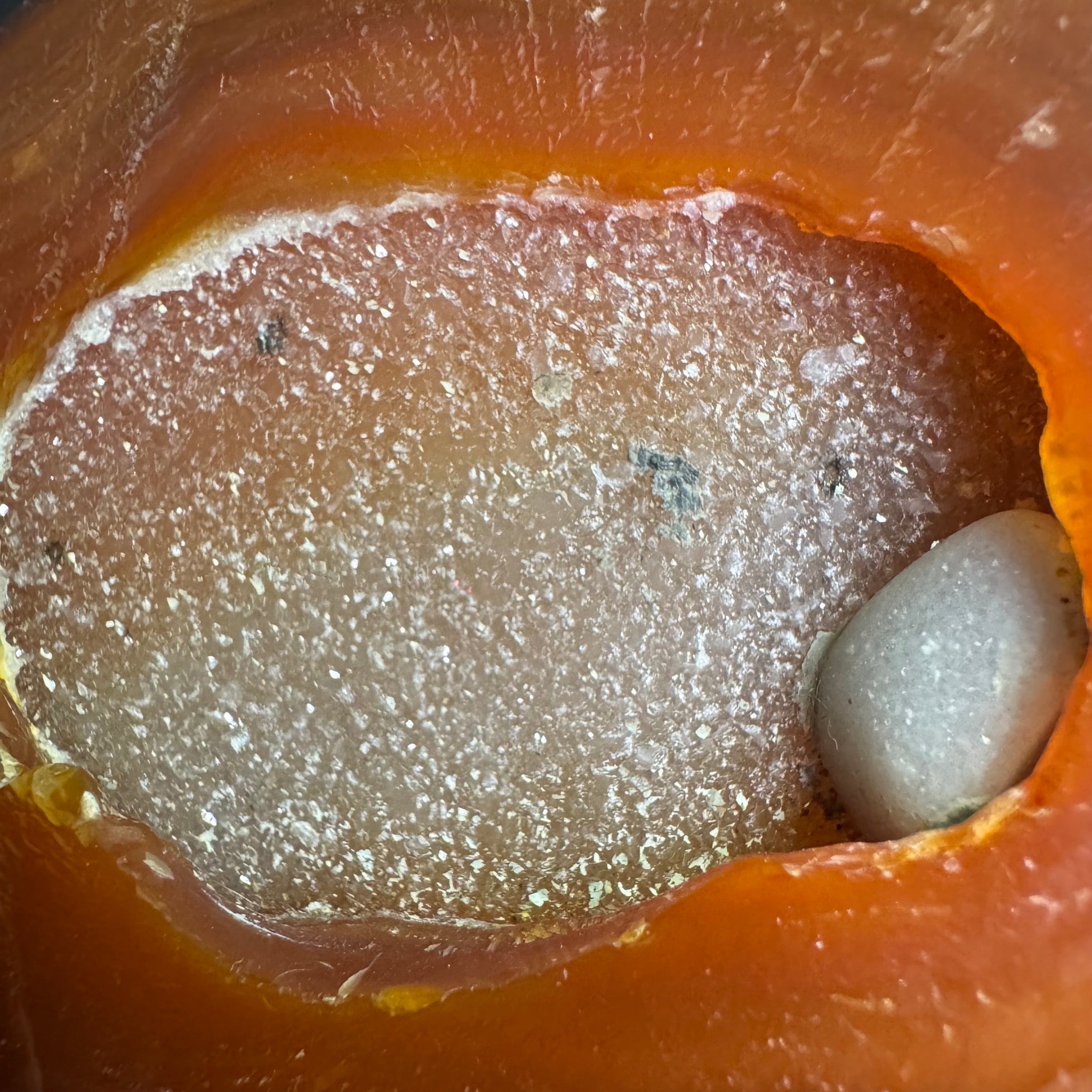 Carnelian Teardrop Free Form