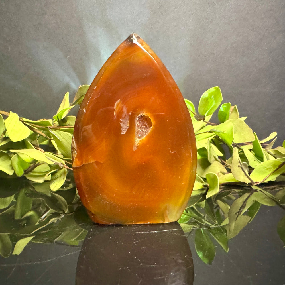 Carnelian Teardrop Free Form