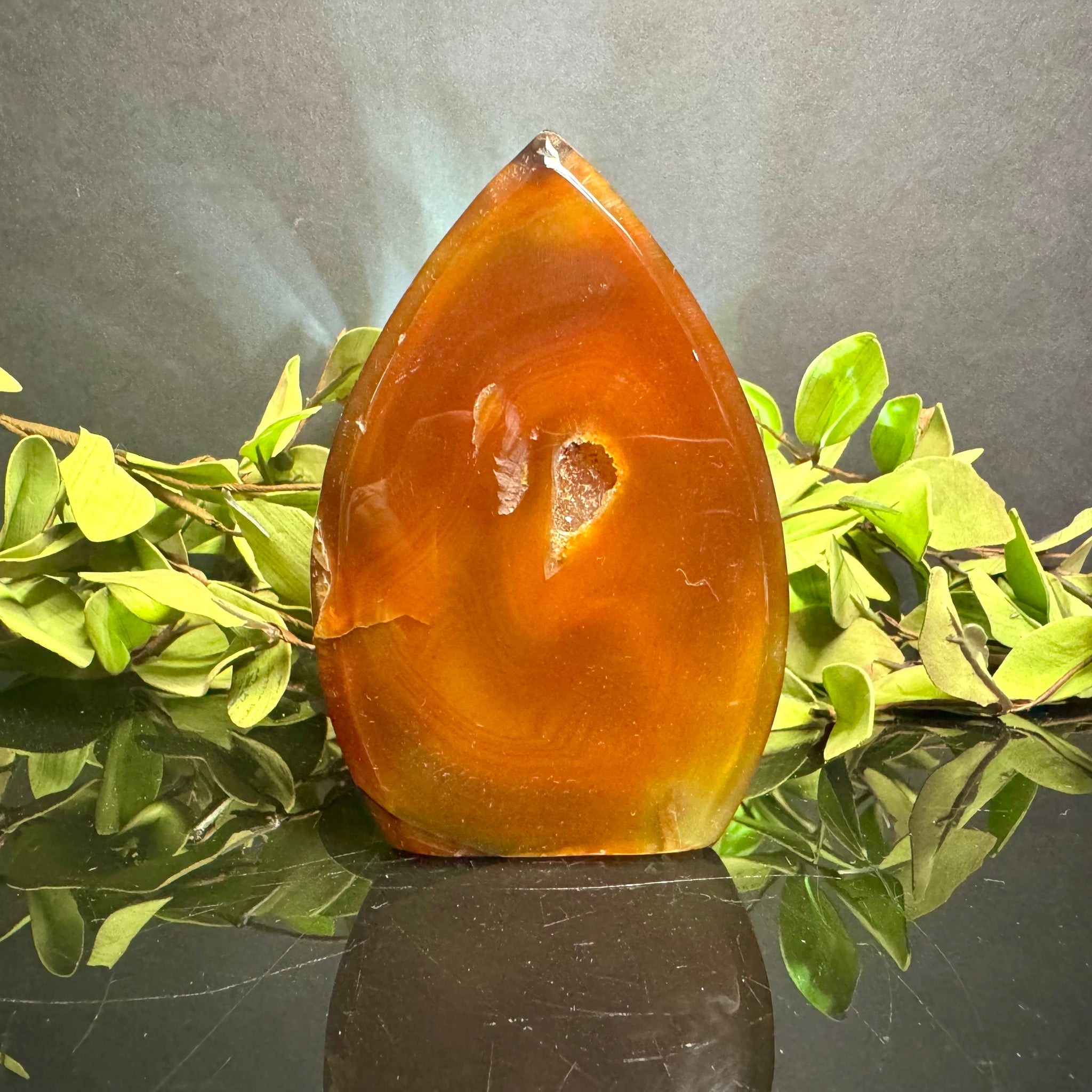 Carnelian Teardrop Free Form