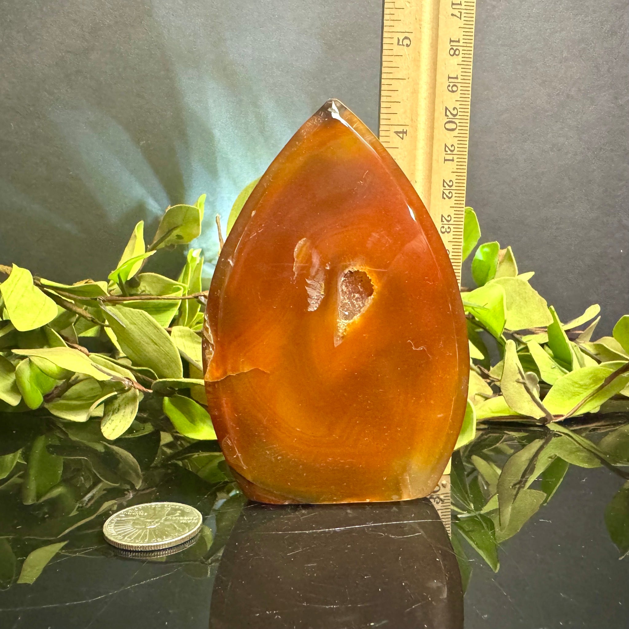 Carnelian Teardrop Free Form