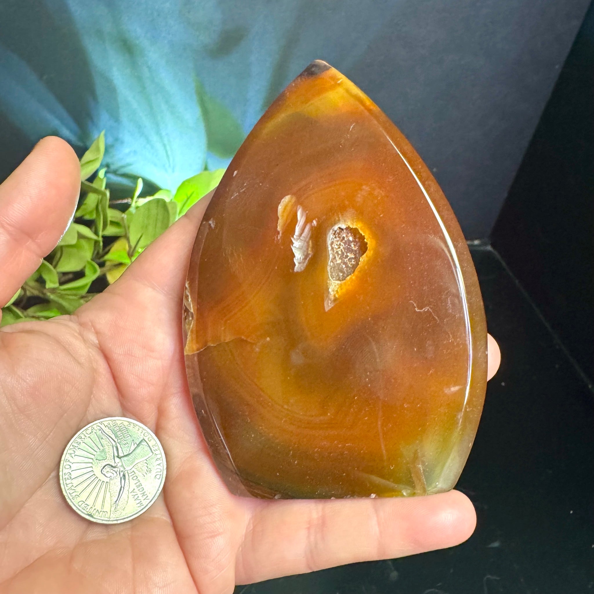 Carnelian Teardrop Free Form