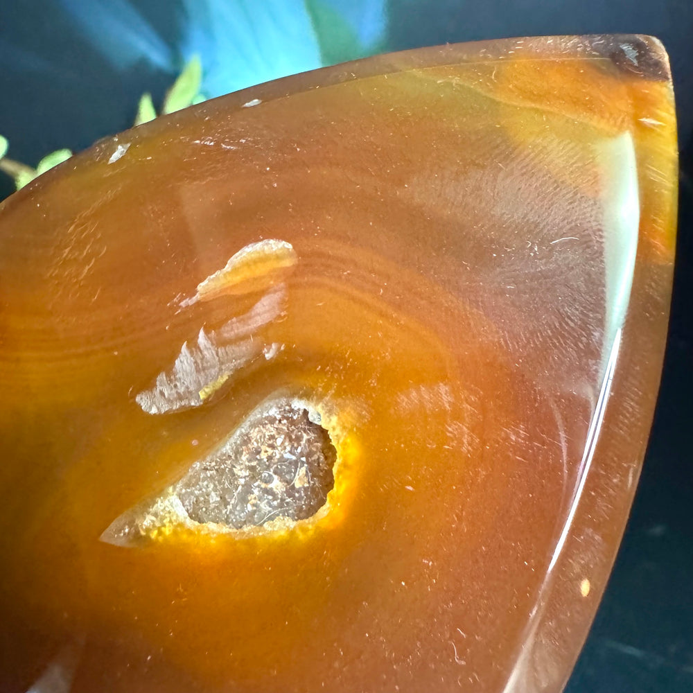 Carnelian Teardrop Free Form
