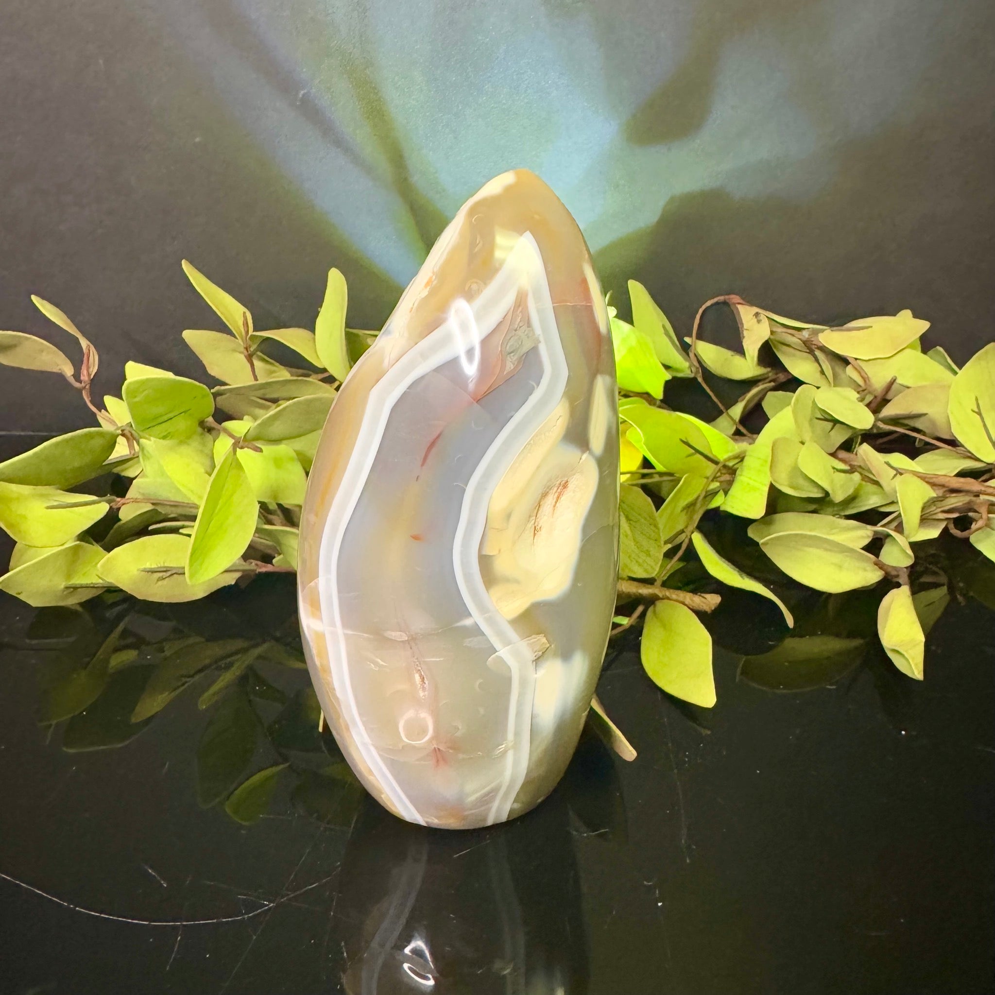 Orca Agate Free Form