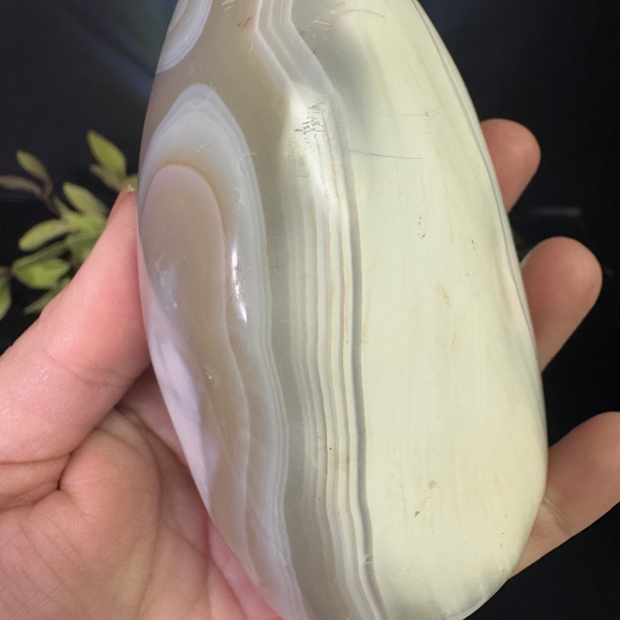 Orca Agate Free Form