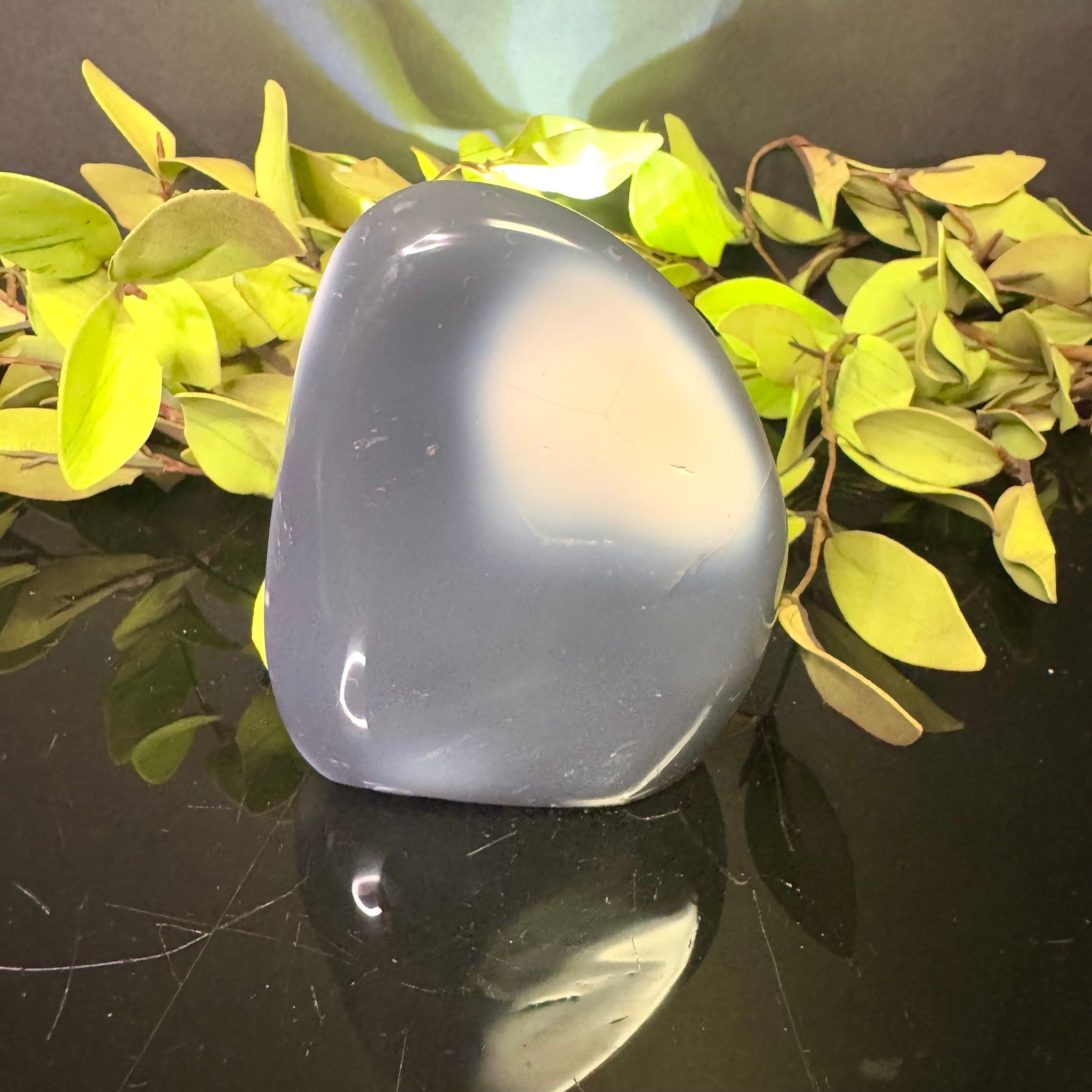 Orca Agate Free Form