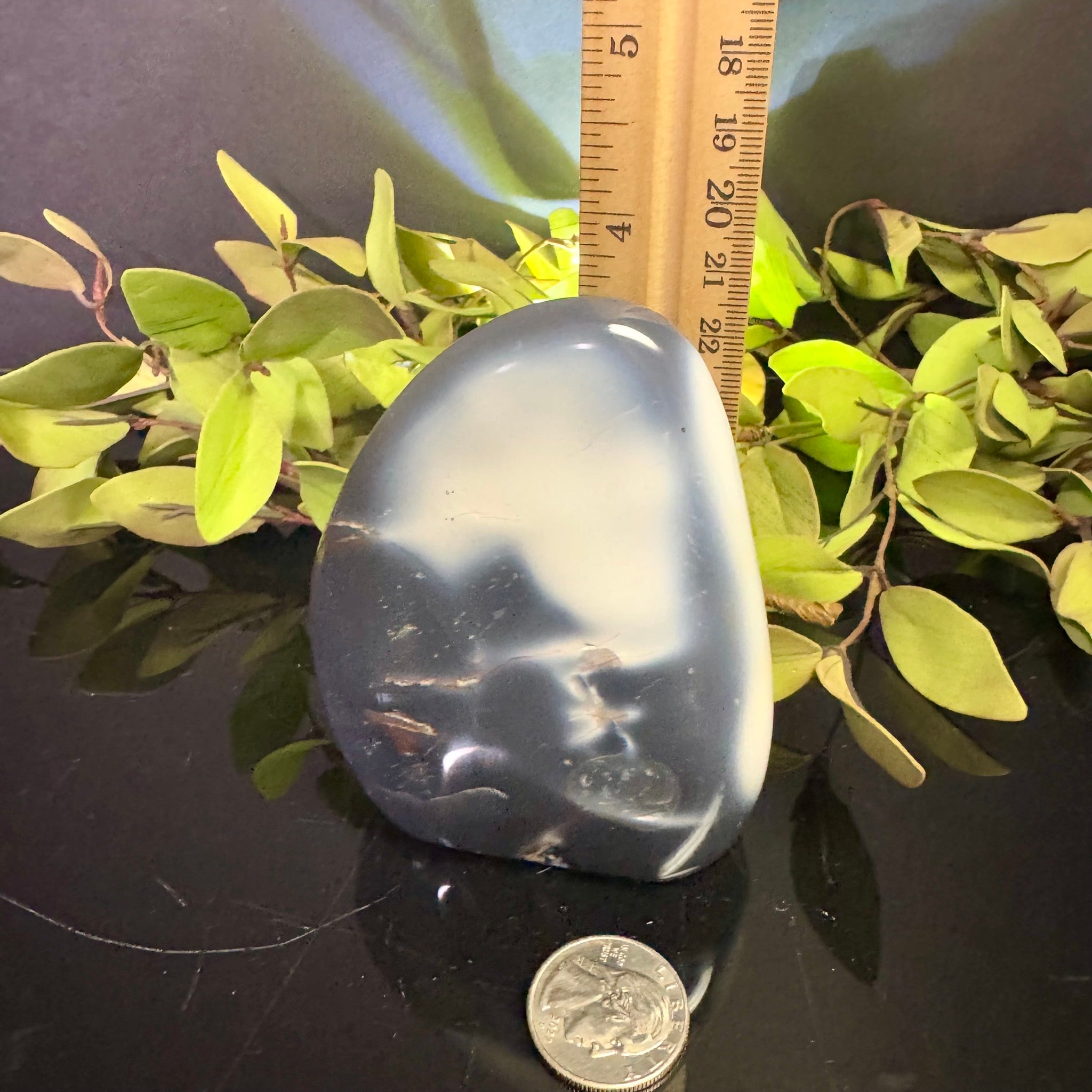 Orca Agate Free Form