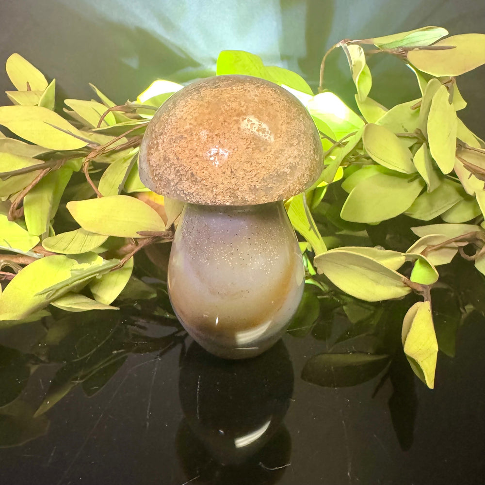 Ocean Jasper Mushroom