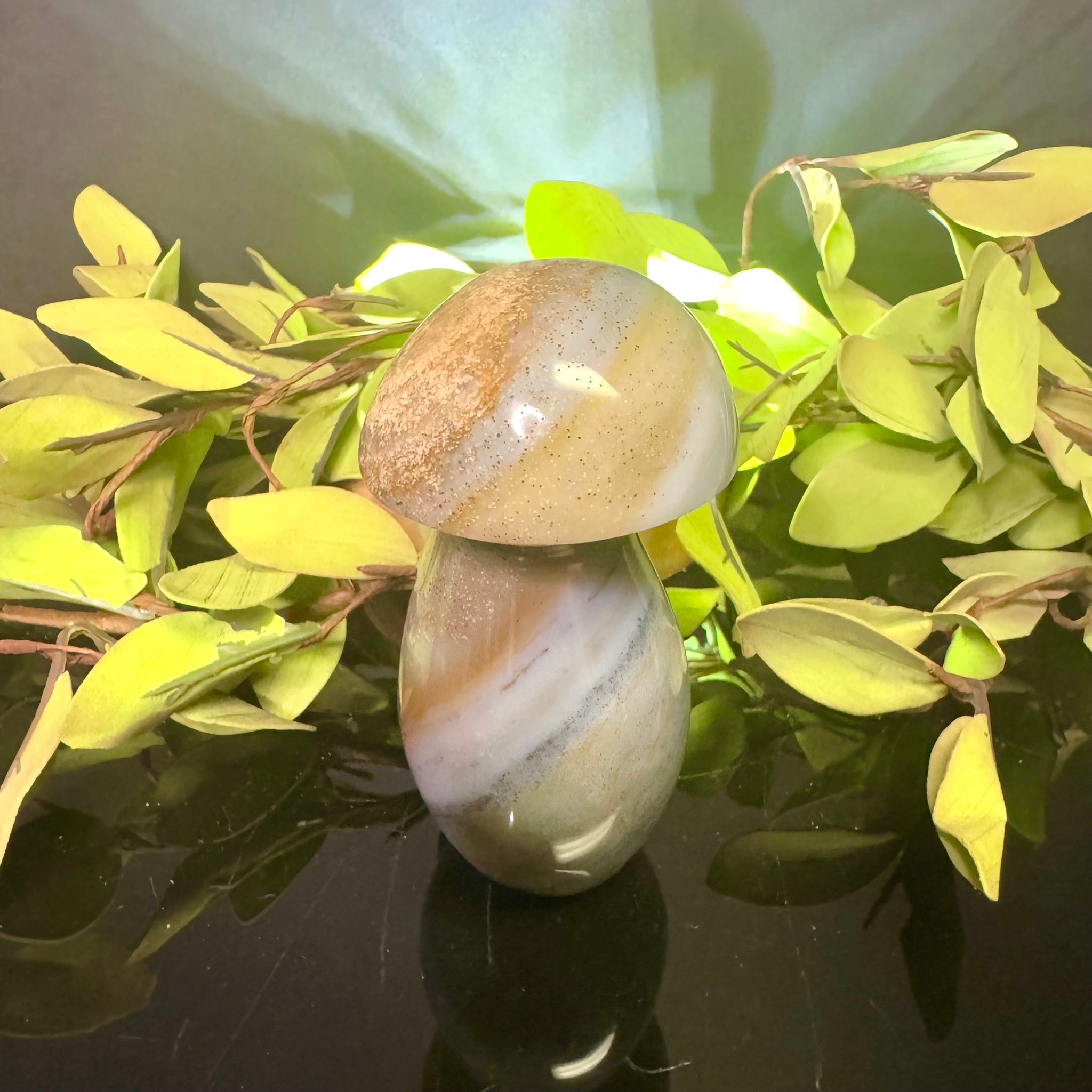 Ocean Jasper Mushroom