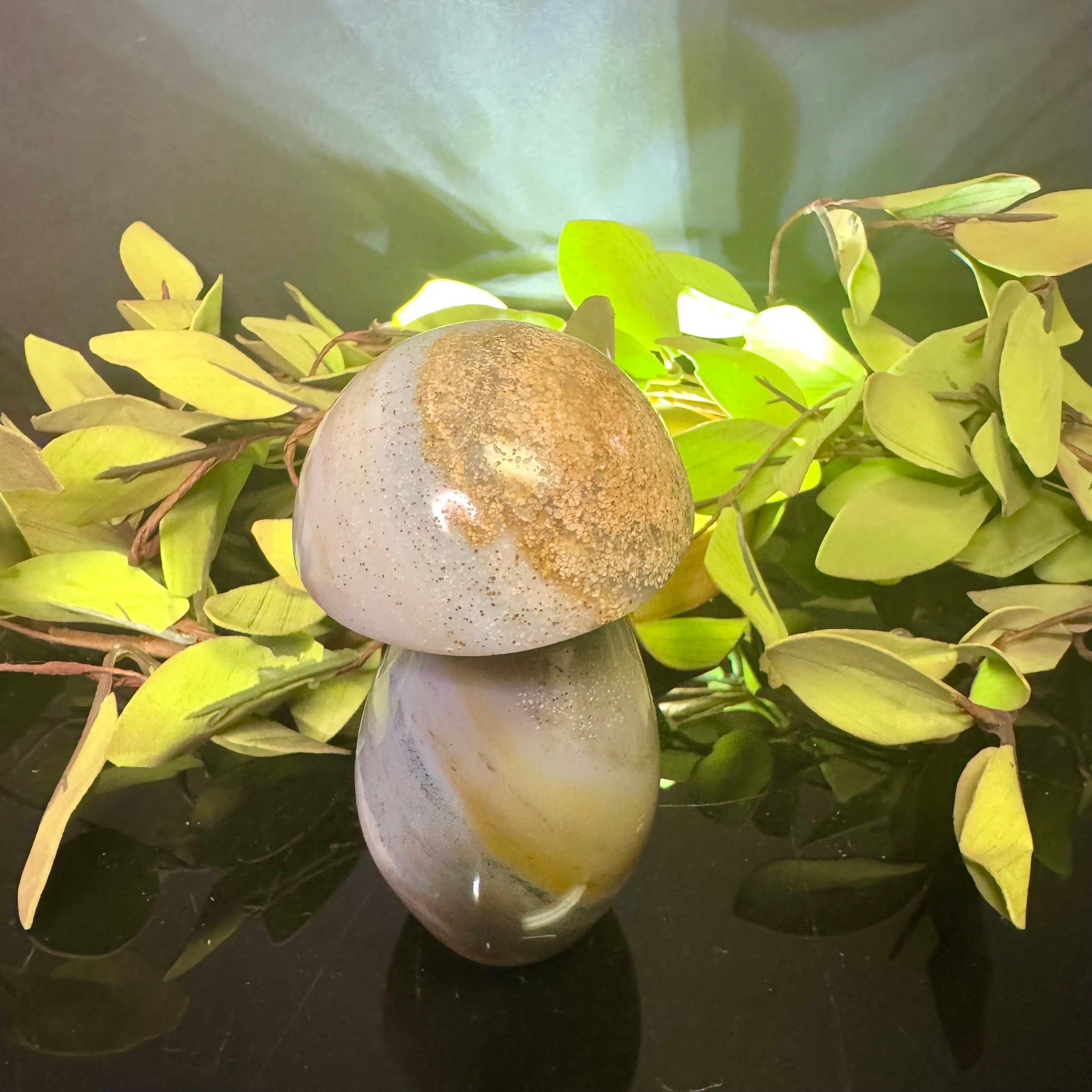 Ocean Jasper Mushroom