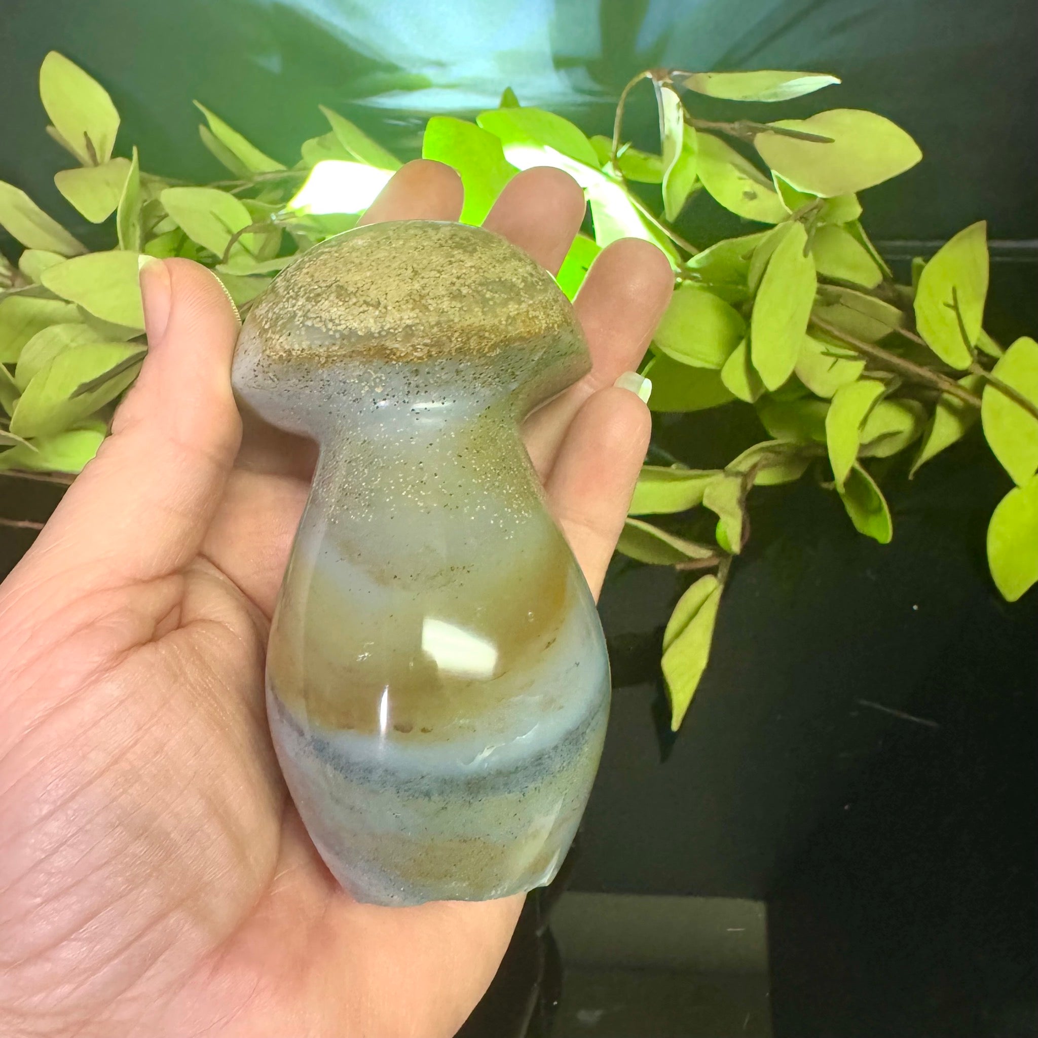 Ocean Jasper Mushroom