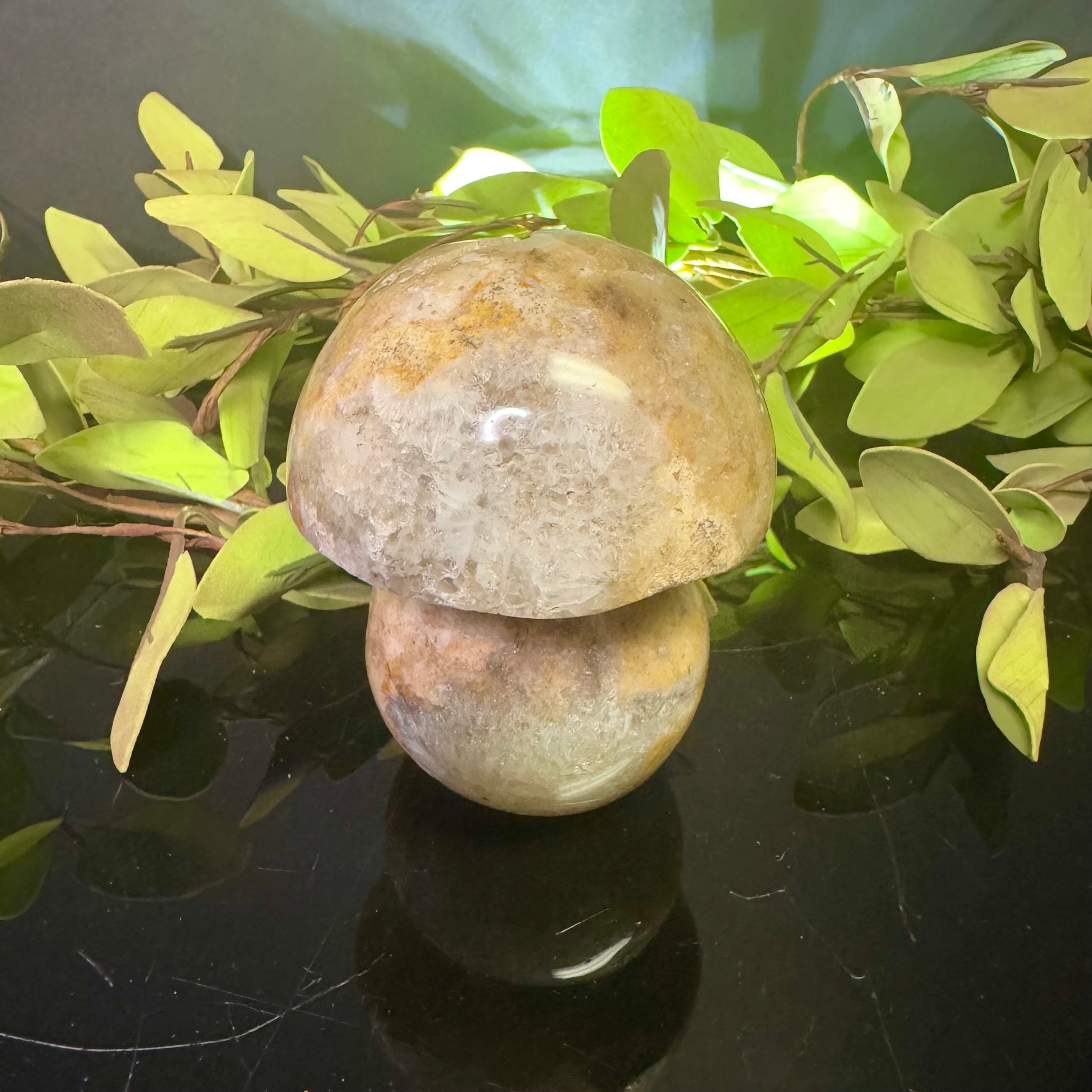 Ocean Jasper Mushroom