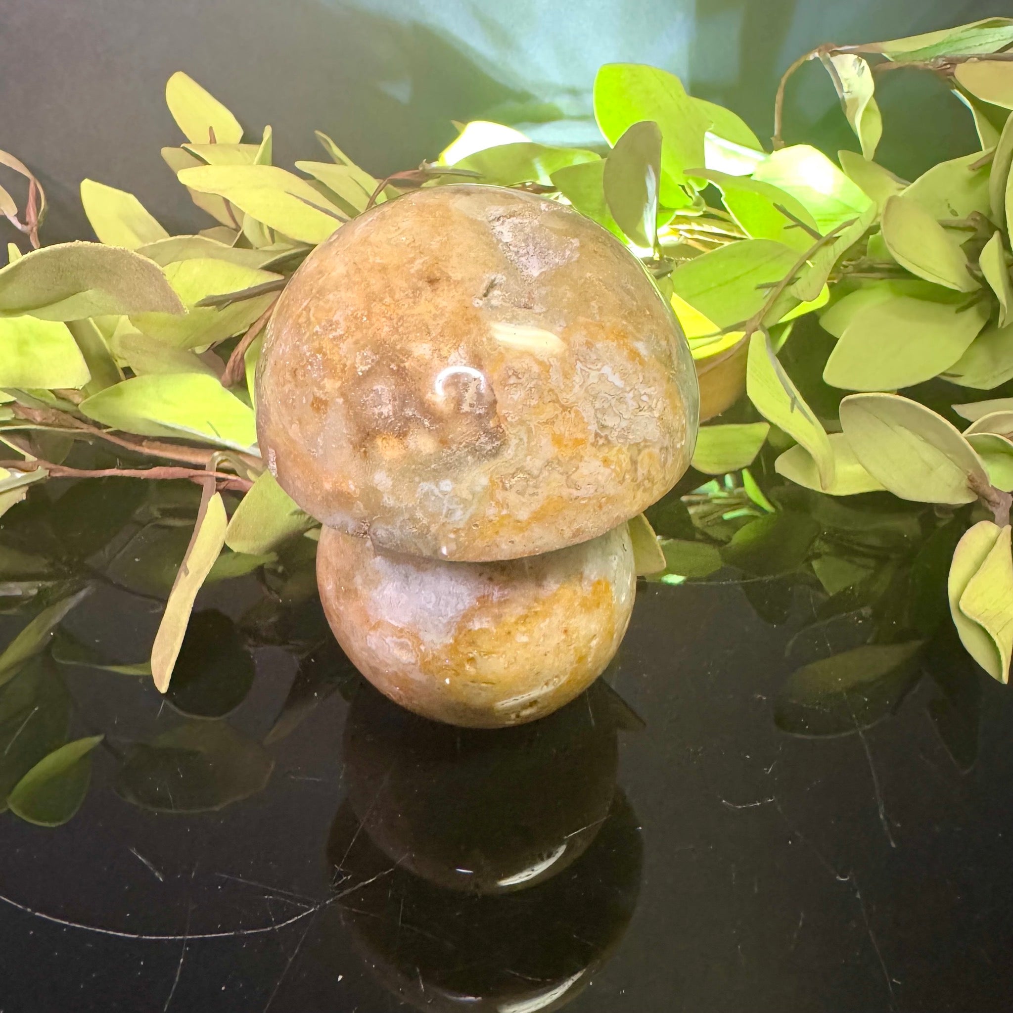 Ocean Jasper Mushroom