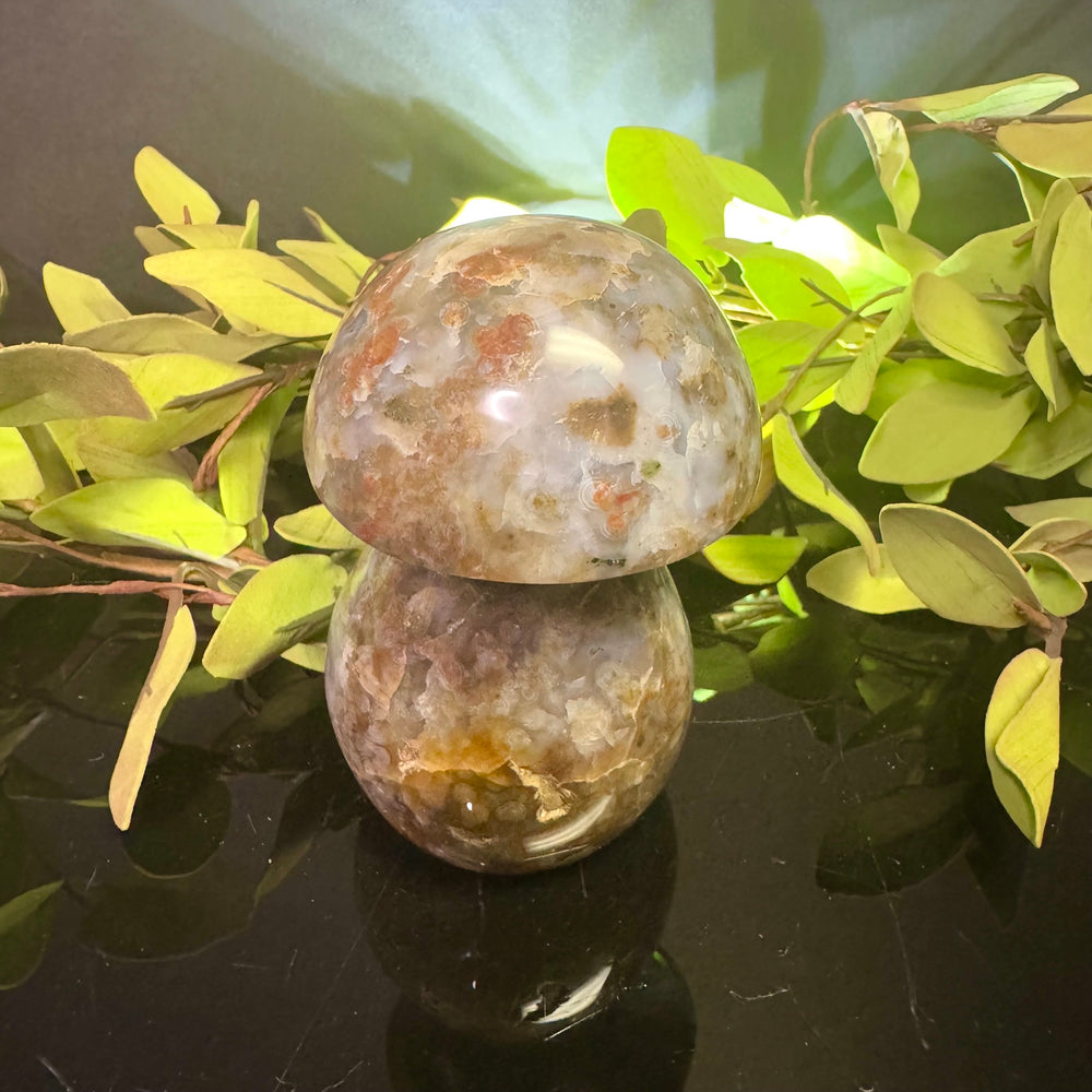 Ocean Jasper Mushroom