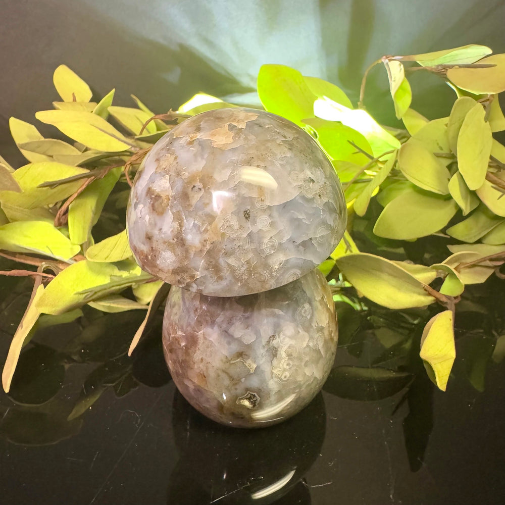 Ocean Jasper Mushroom