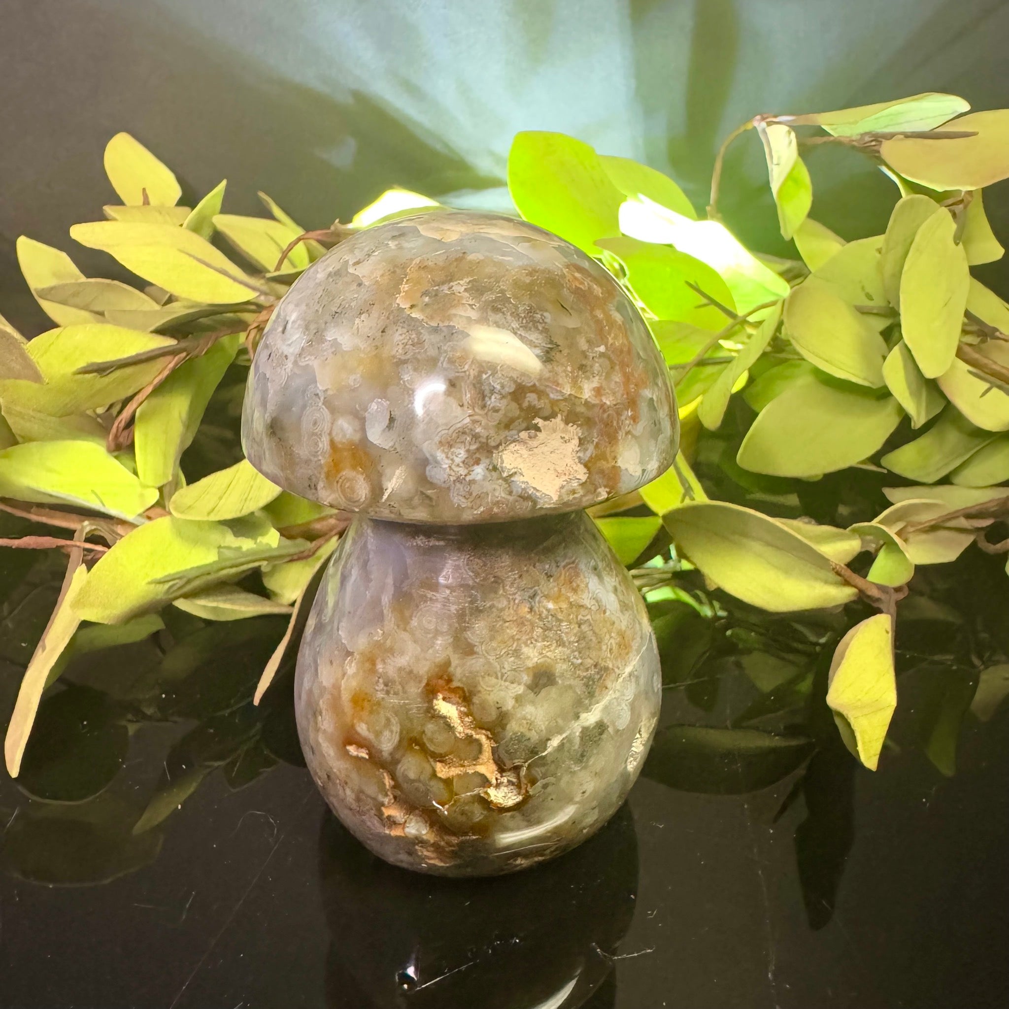 Ocean Jasper Mushroom