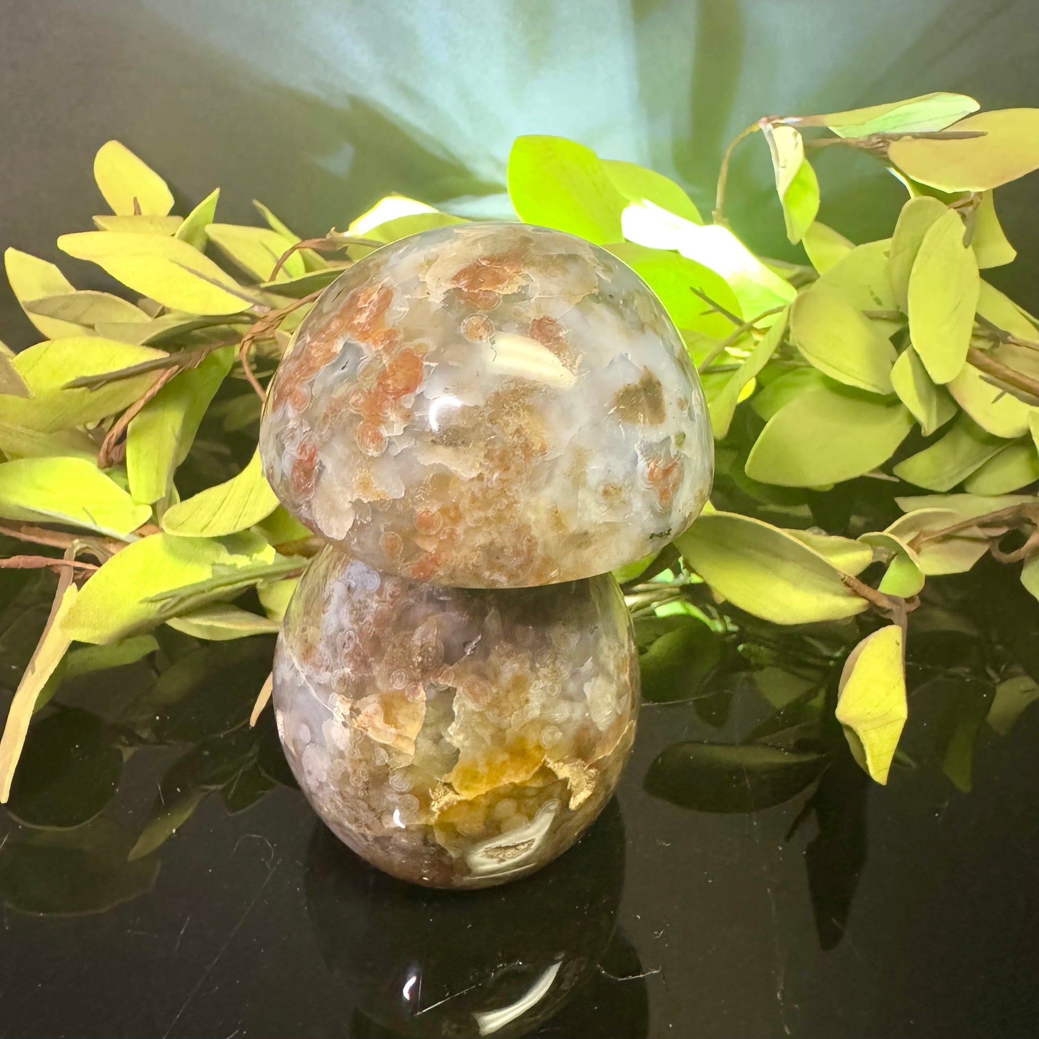 Ocean Jasper Mushroom