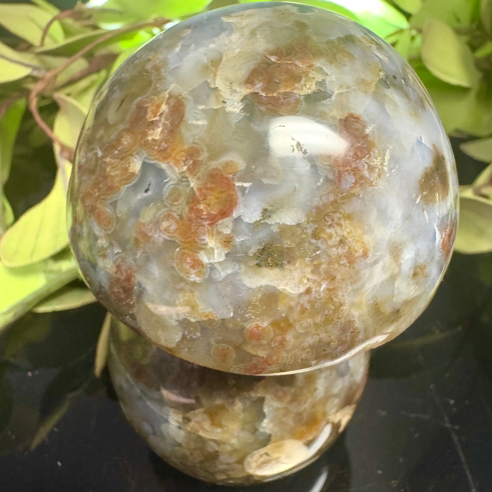 Ocean Jasper Mushroom