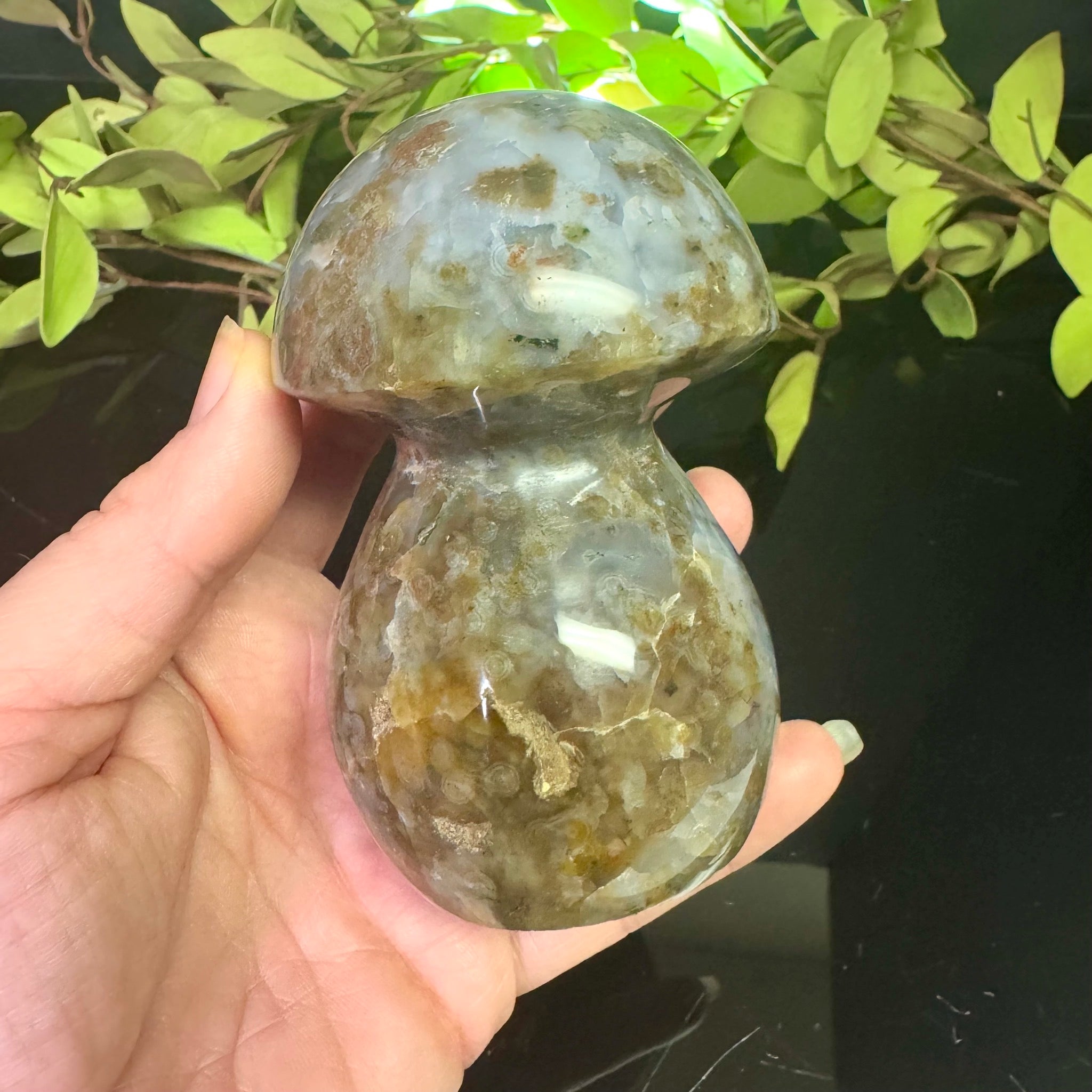 Ocean Jasper Mushroom