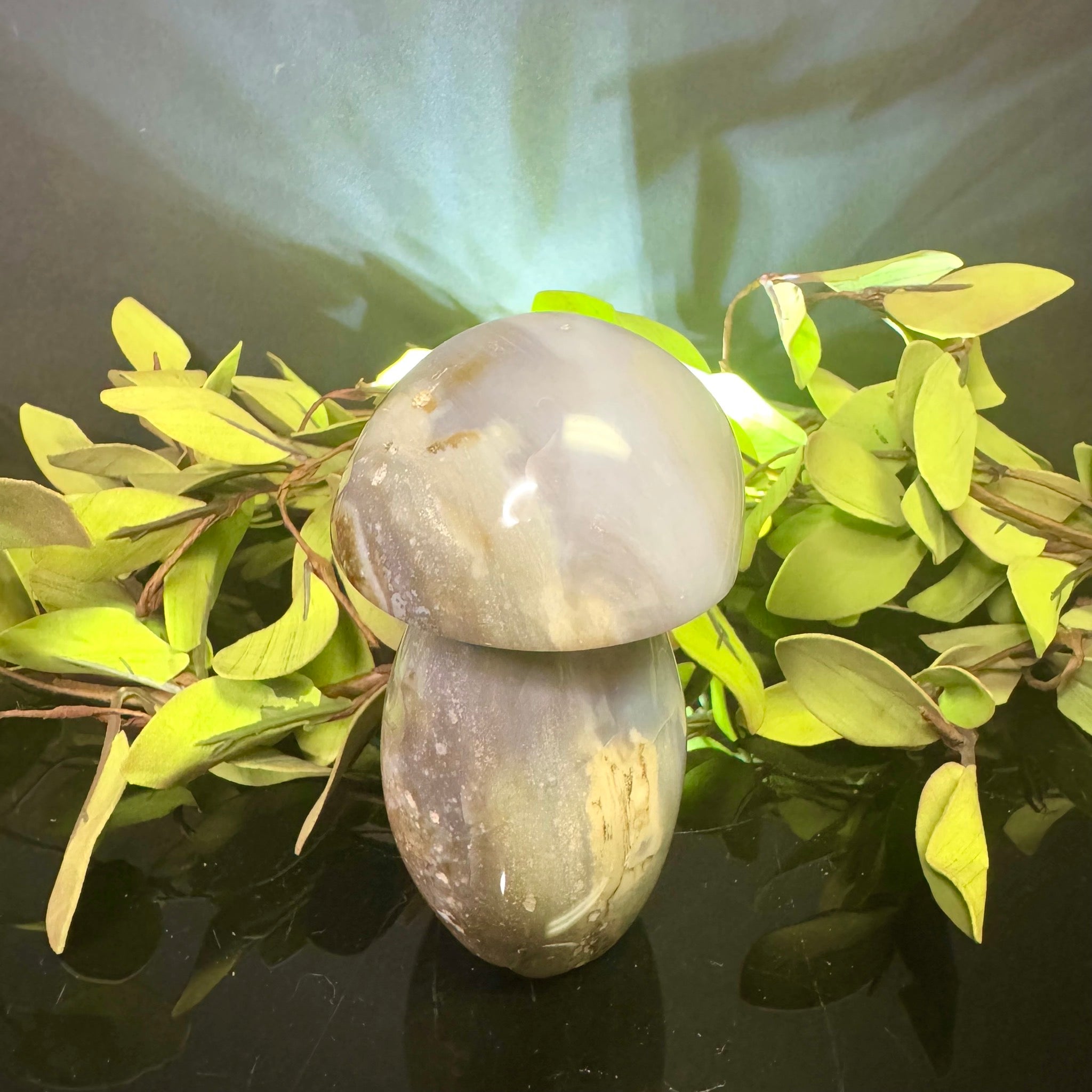 Ocean Jasper Mushroom