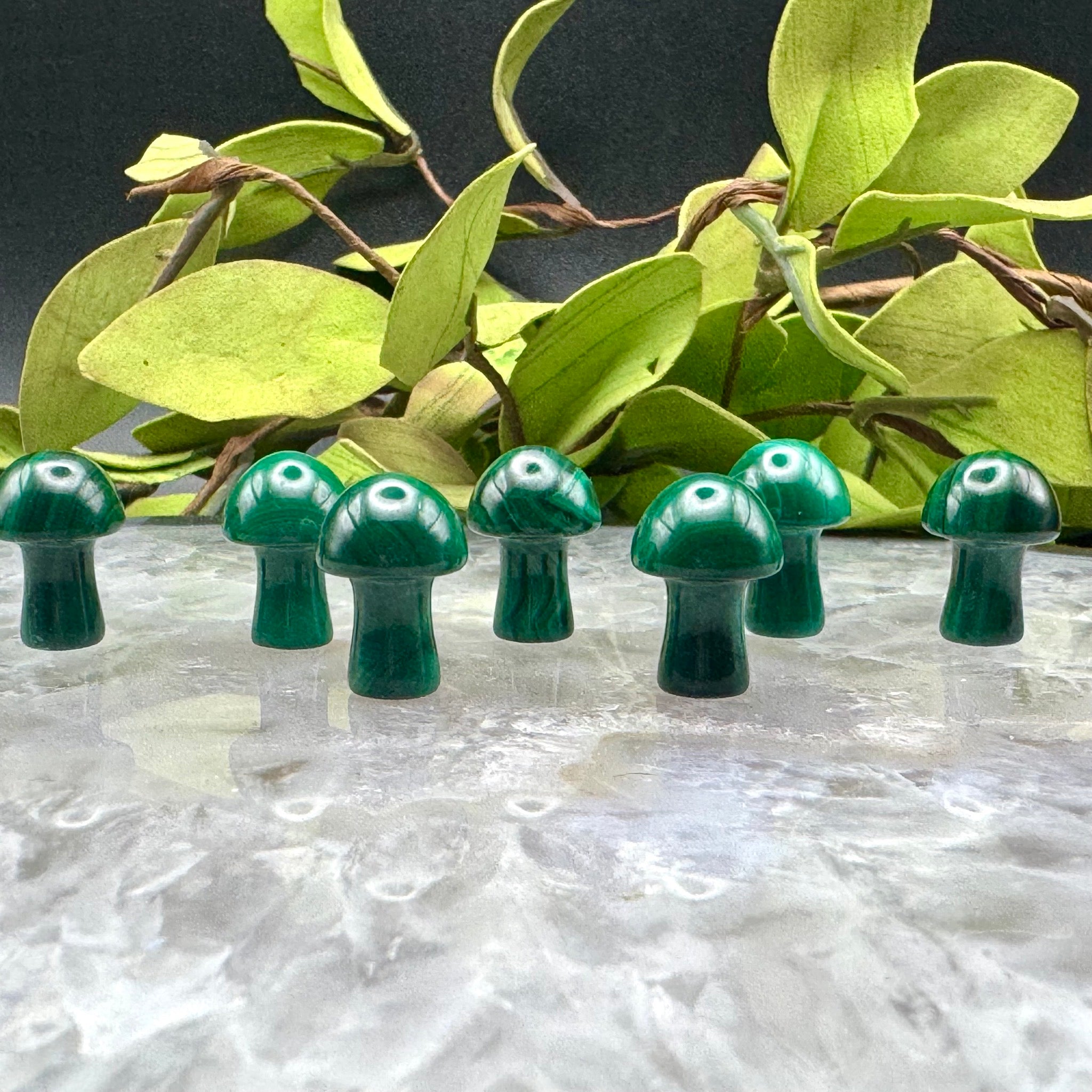 Mini Malachite Mushroom