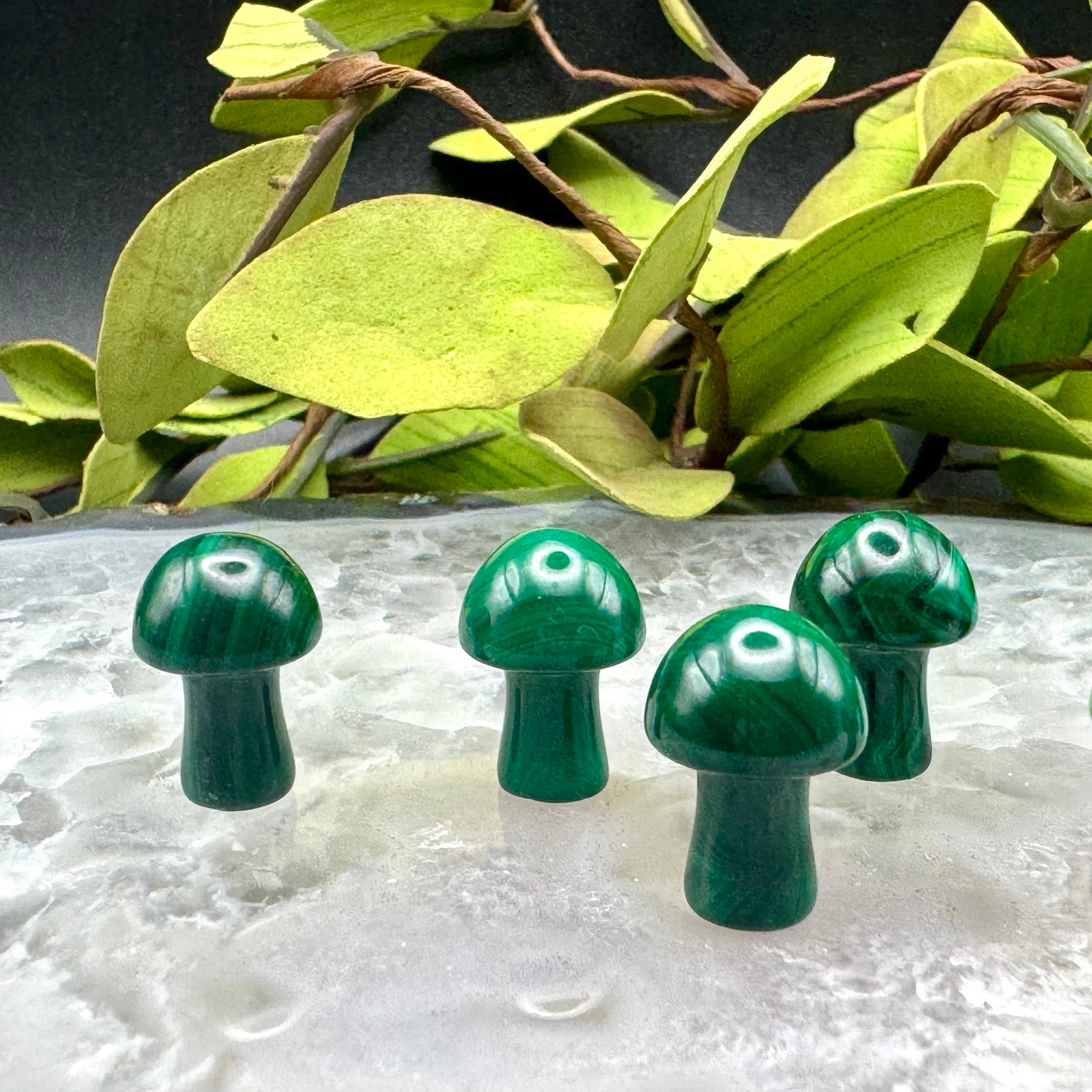 Mini Malachite Mushroom